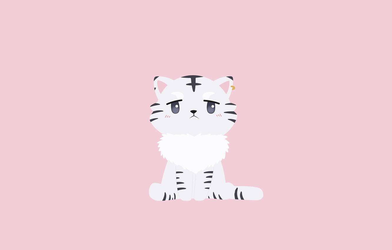 Wallpaper cat, cat, minimalism, kitty, Isekai wa Smartphone to