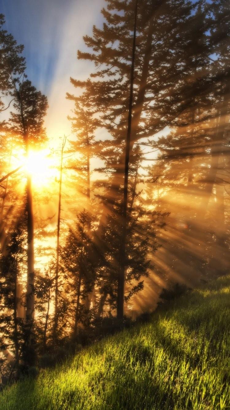 Brilliant quality high resolution wallpaper HD Wallpaper 750x1334