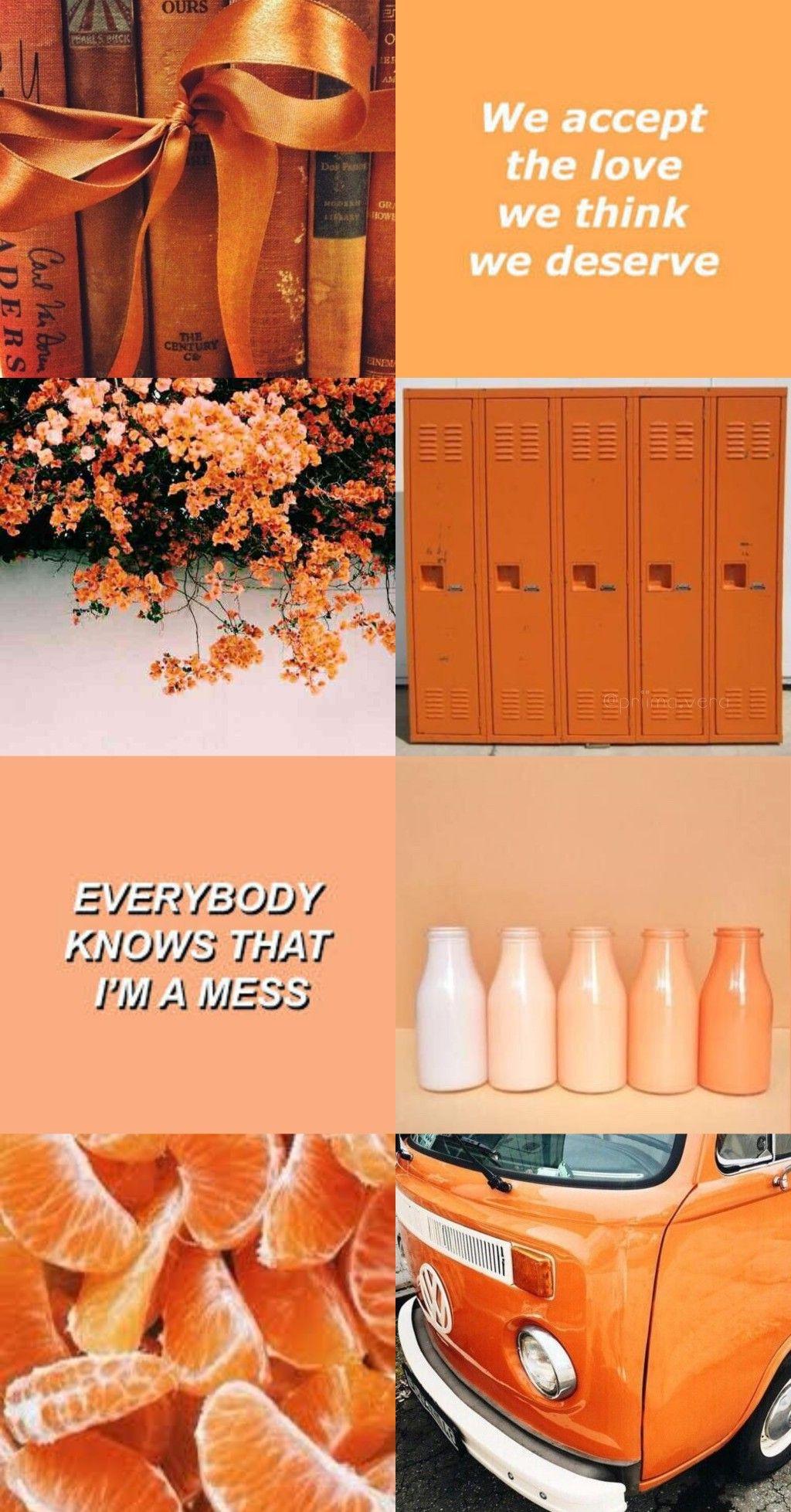 ️️orange aesthetic️️. Orange aesthetic, Aesthetic