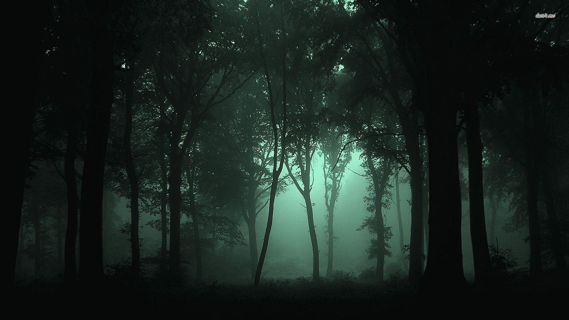 Night Forest Wallpaper Free Night Forest Background