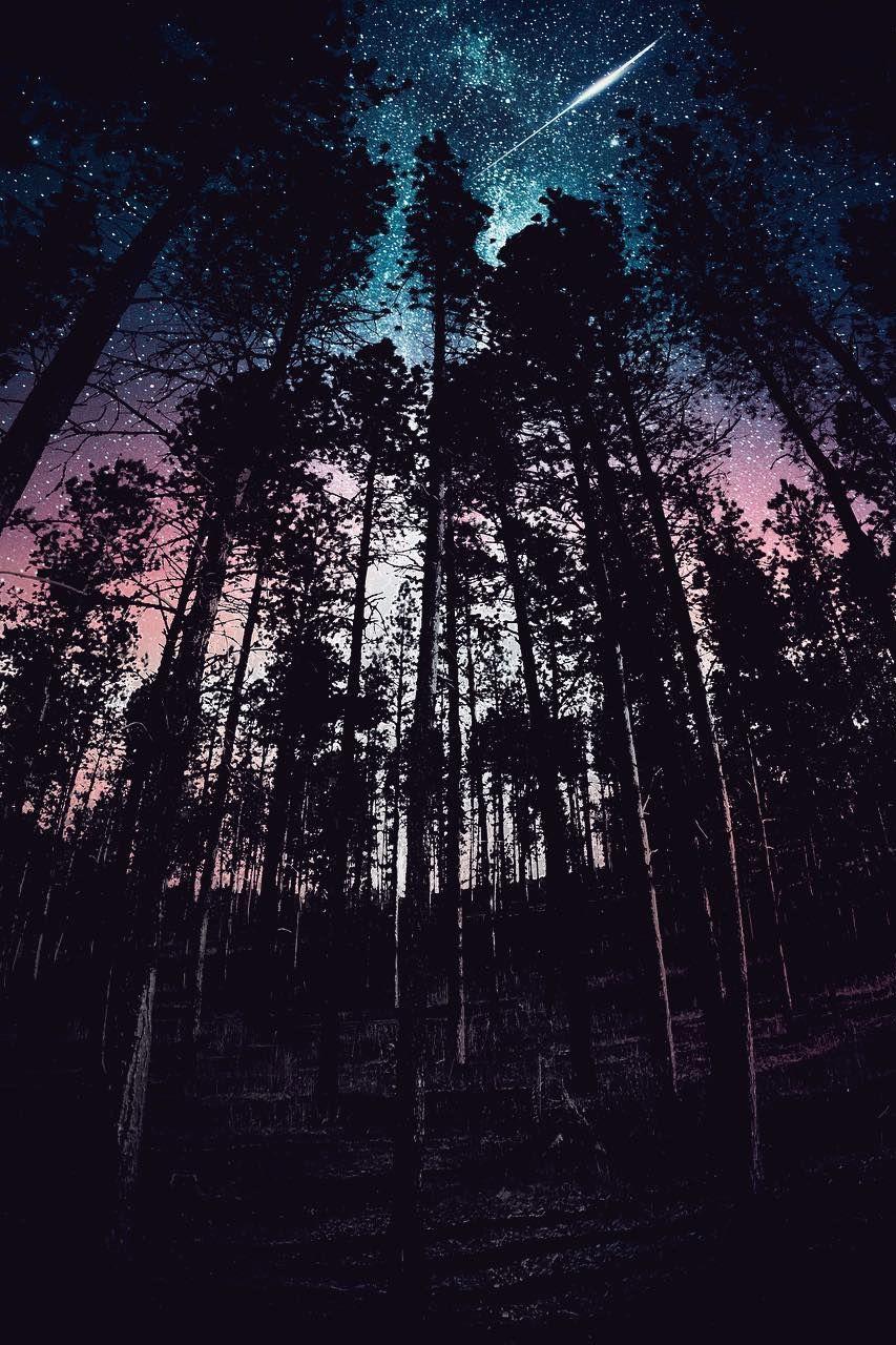 Black Hills National Forest. night sky. Galaxy wallpaper