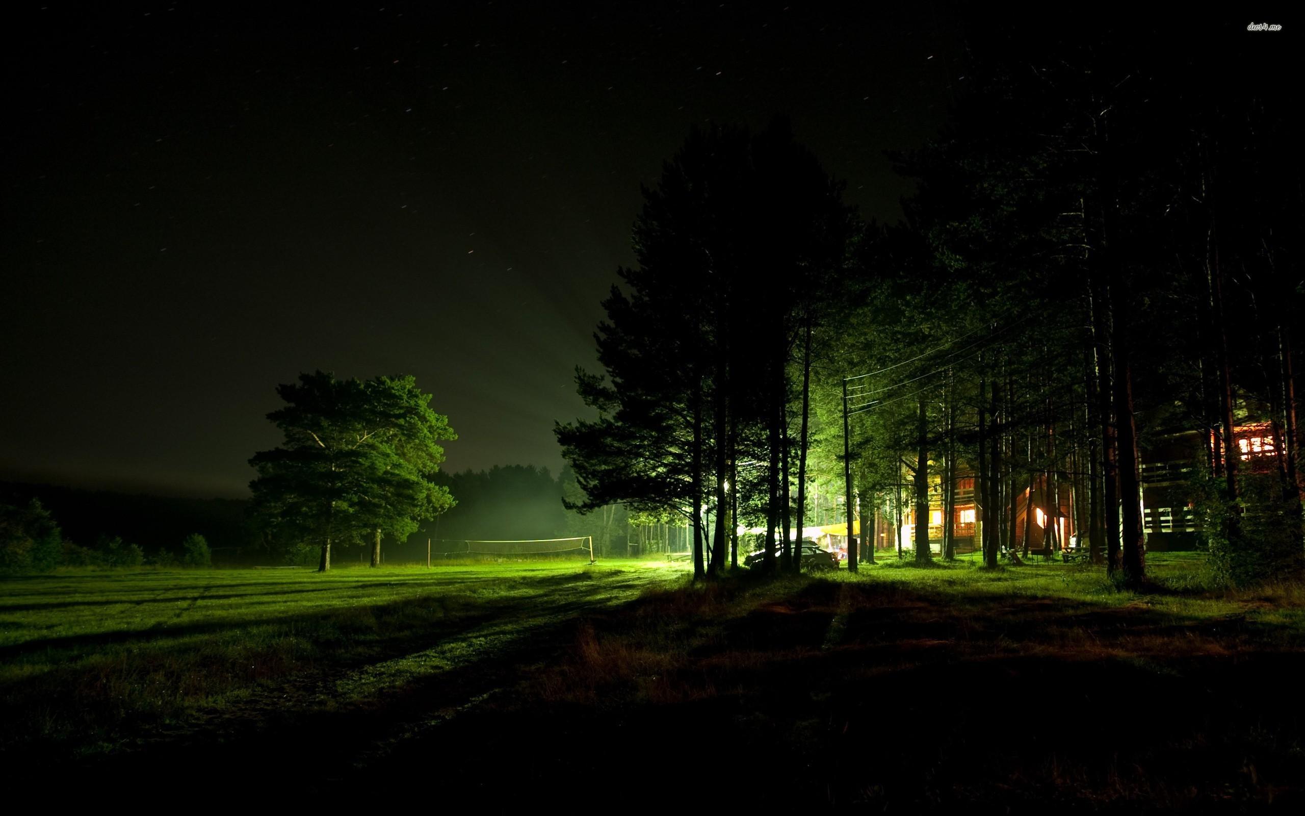 Green lights in the forest night wallpaper wallpaper