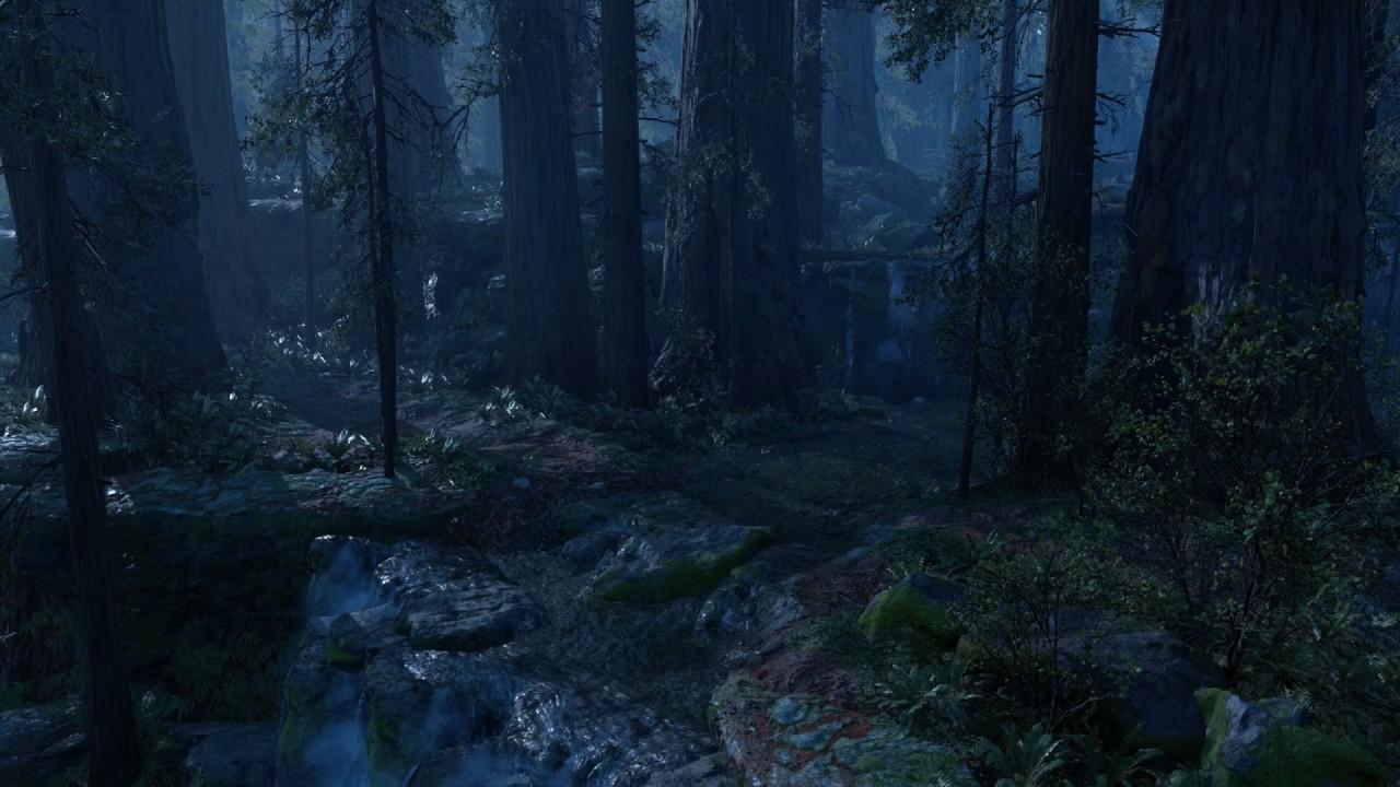 Forest Night Wallpaper (image in Collection)