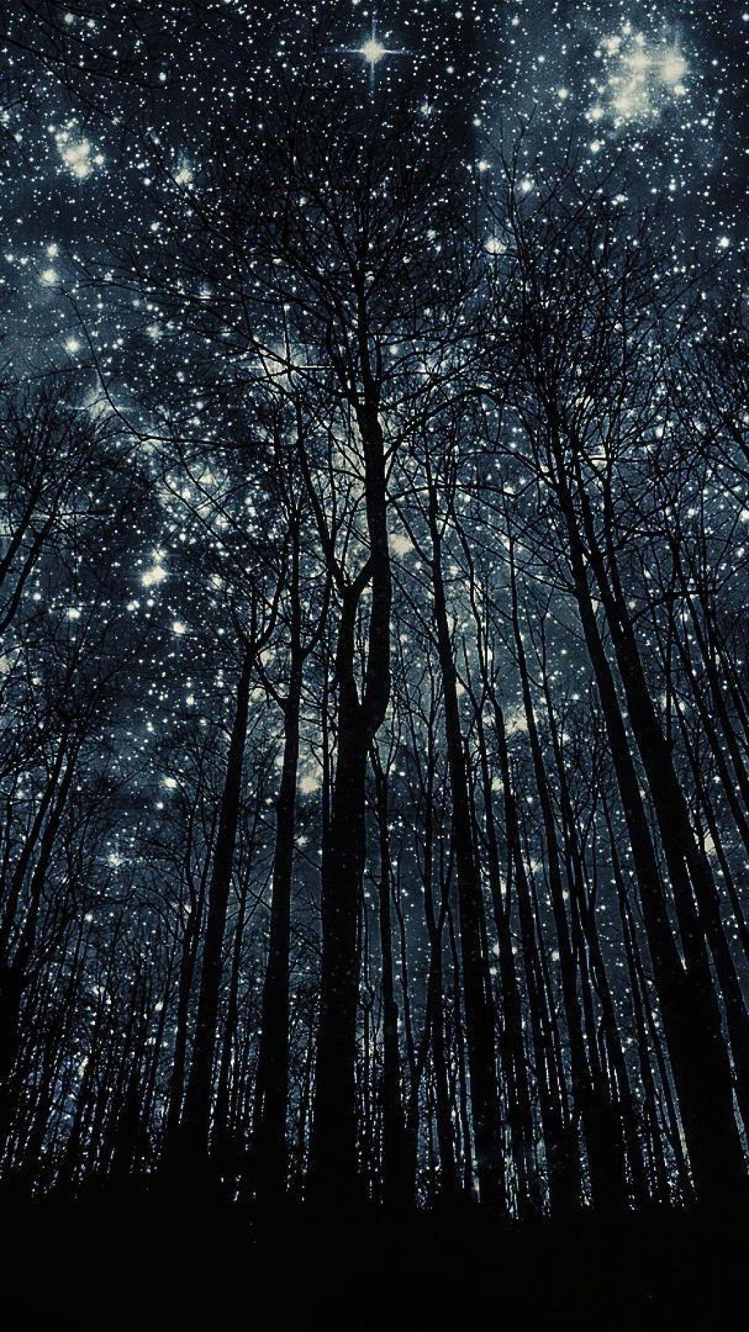 Forest Nigth Full Of Stars S5 Wallpaper. Android