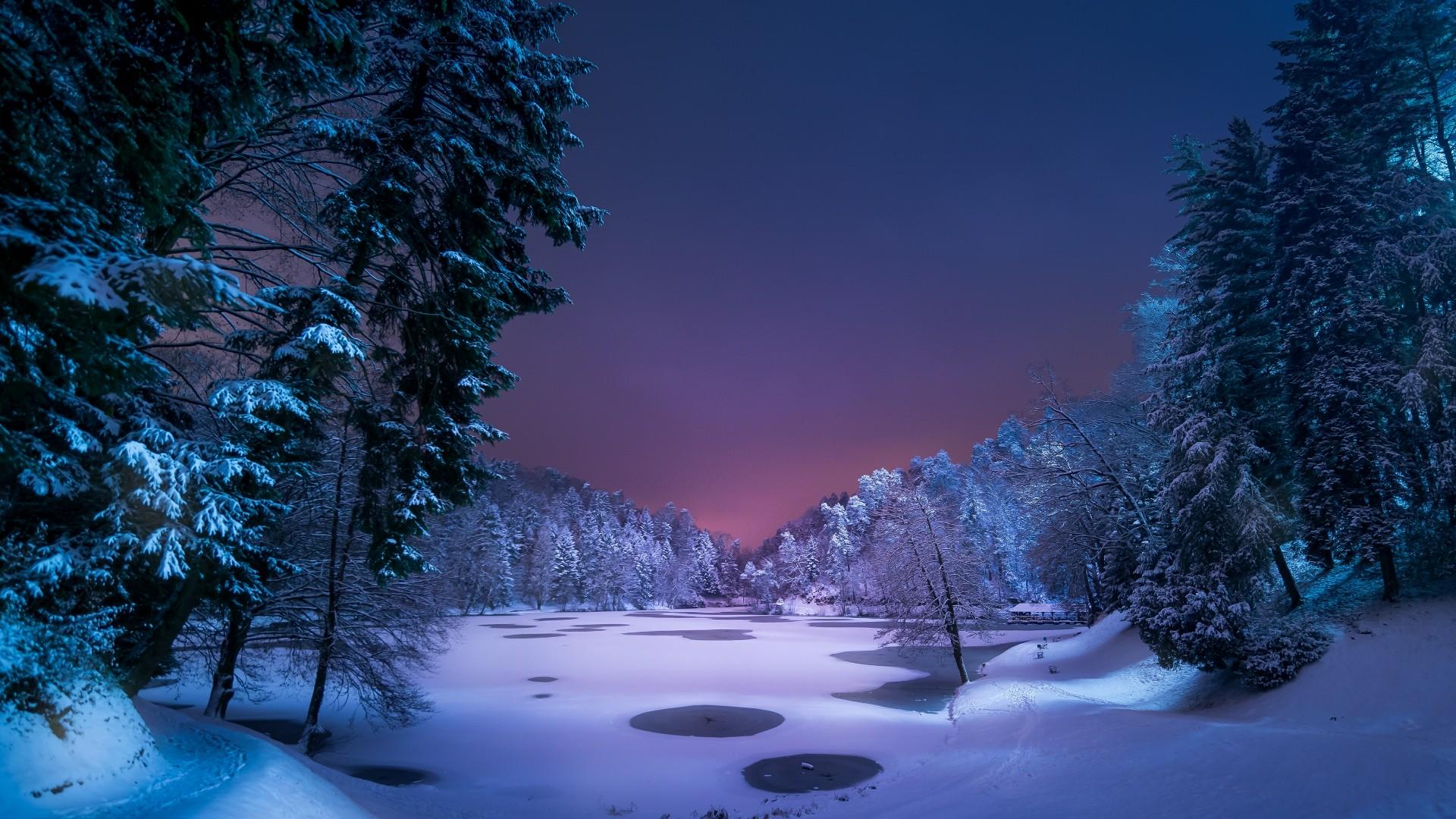 Winter Forest Night Wallpaper Picture Outdoors Wallpaper 1080p
