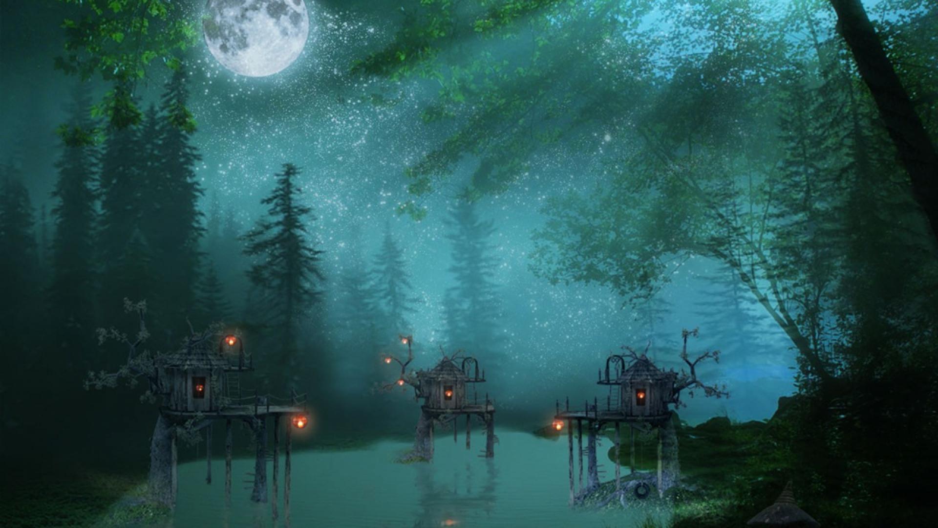 Night forest wallpaper Gallery