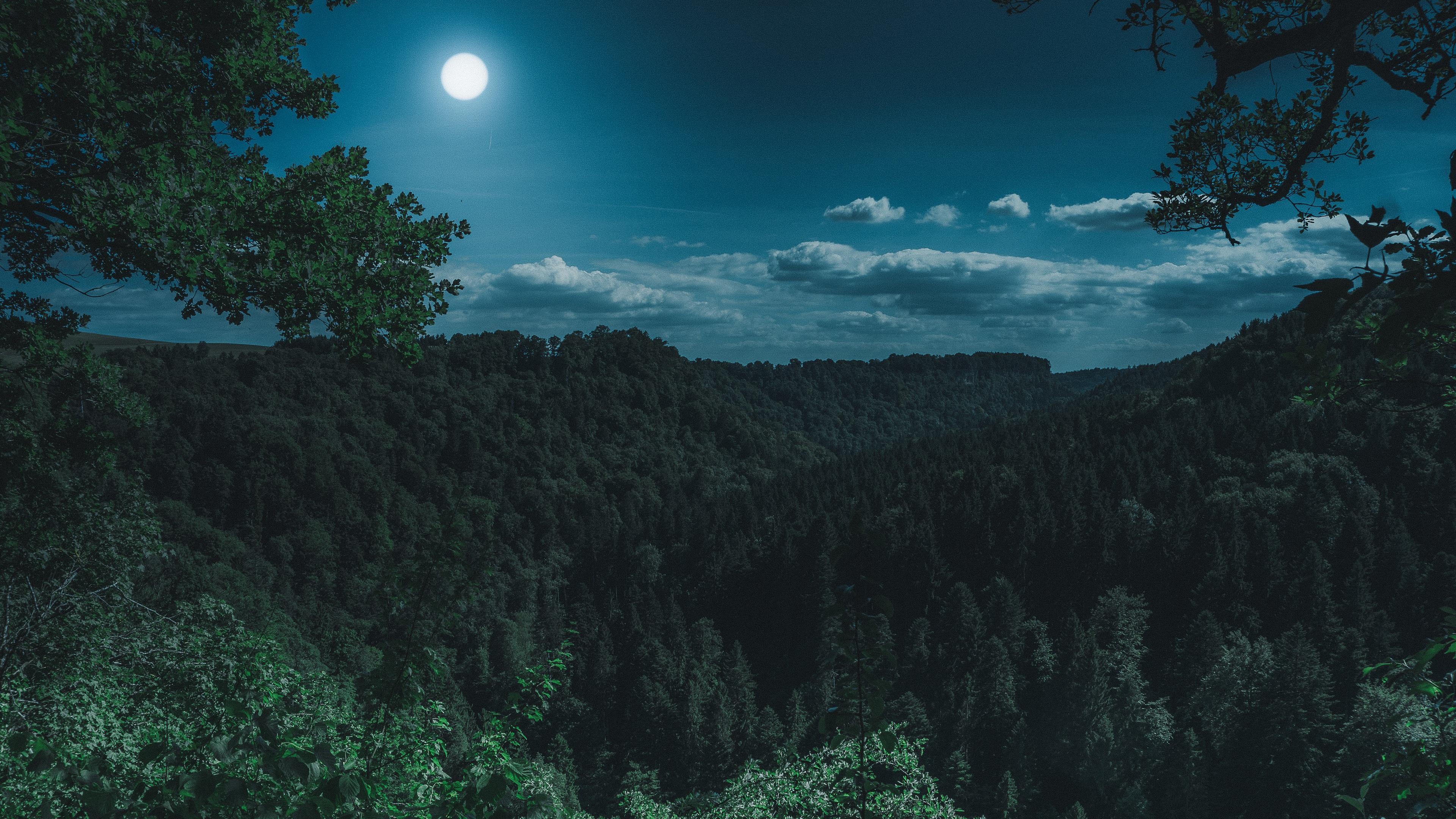 Wallpaper 4k Dark Night Forest View 4k 4k Wallpaper, Dark Wallpaper, Forest Wallpaper, Hd Wallpaper, Moon Wallpaper, Night Wallpaper, Photography Wallpaper