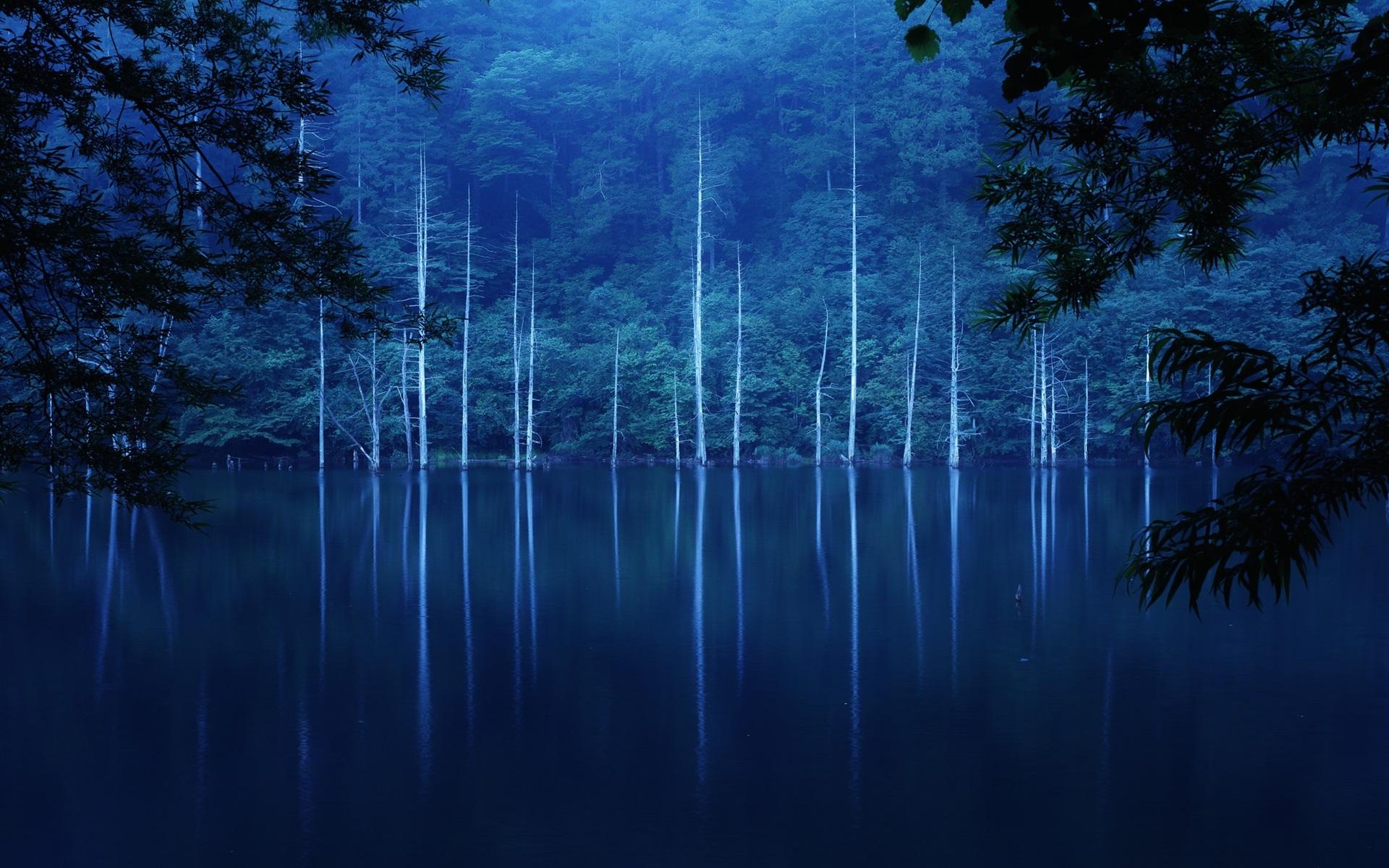Wallpaper Forest, night, hillside, lake, trees, fog 1920x1200 HD