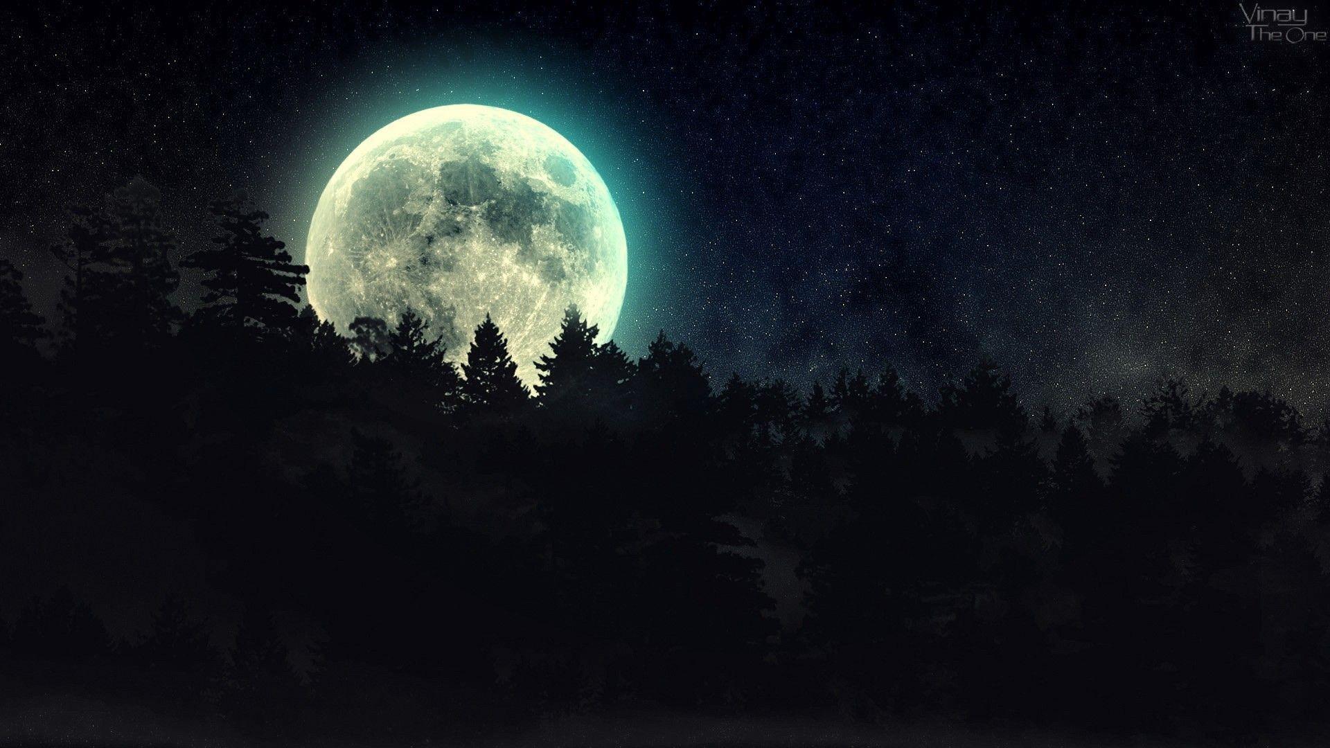 Dark Forest Wallpaper 1080p At Night With Moon, HD