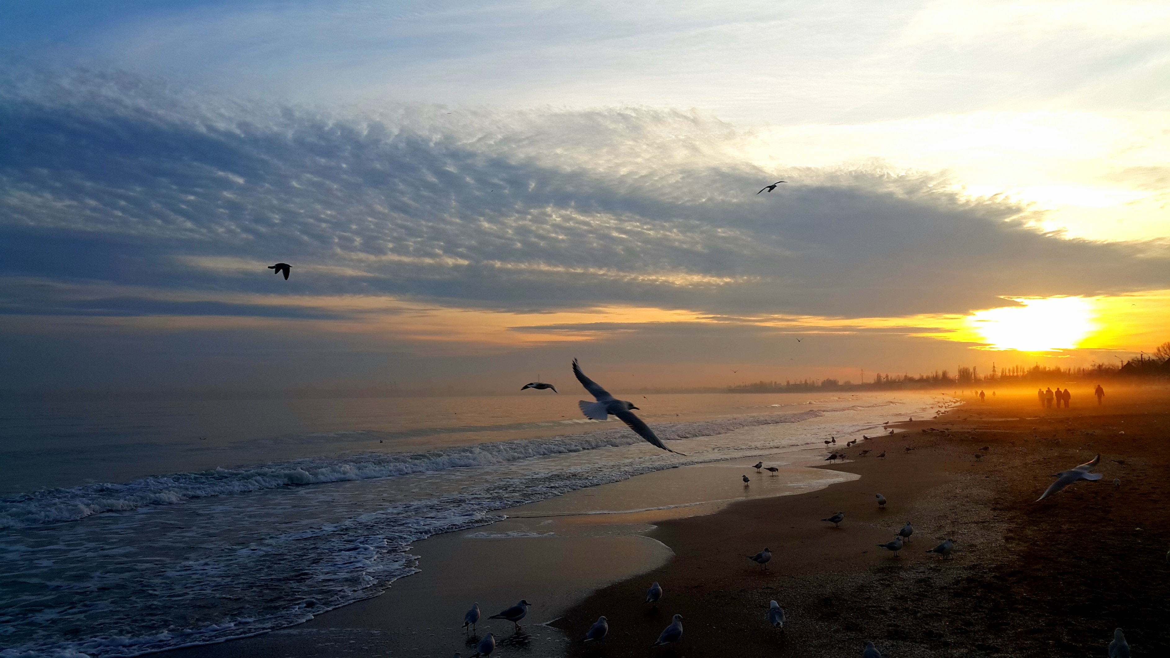 Sunset, Sea, Birds, Sky, People, Beach