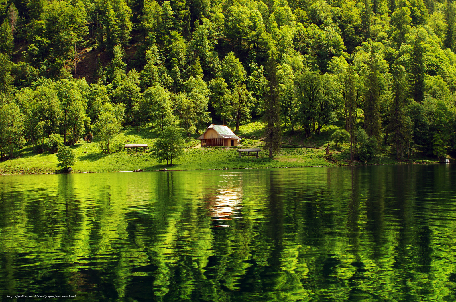 Forest lake general santos city