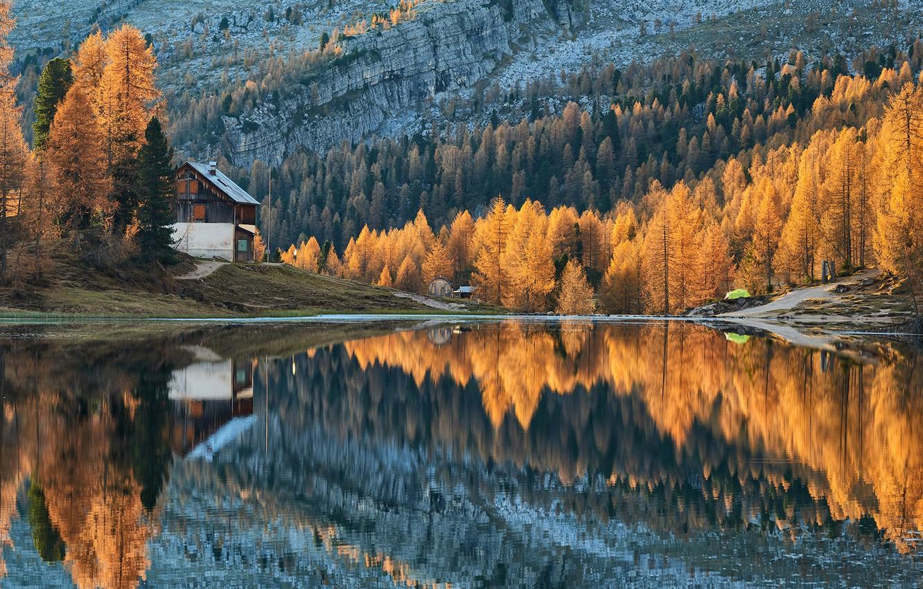 Wallpaper forest, trees, autumn, lake, cabin image for desktop