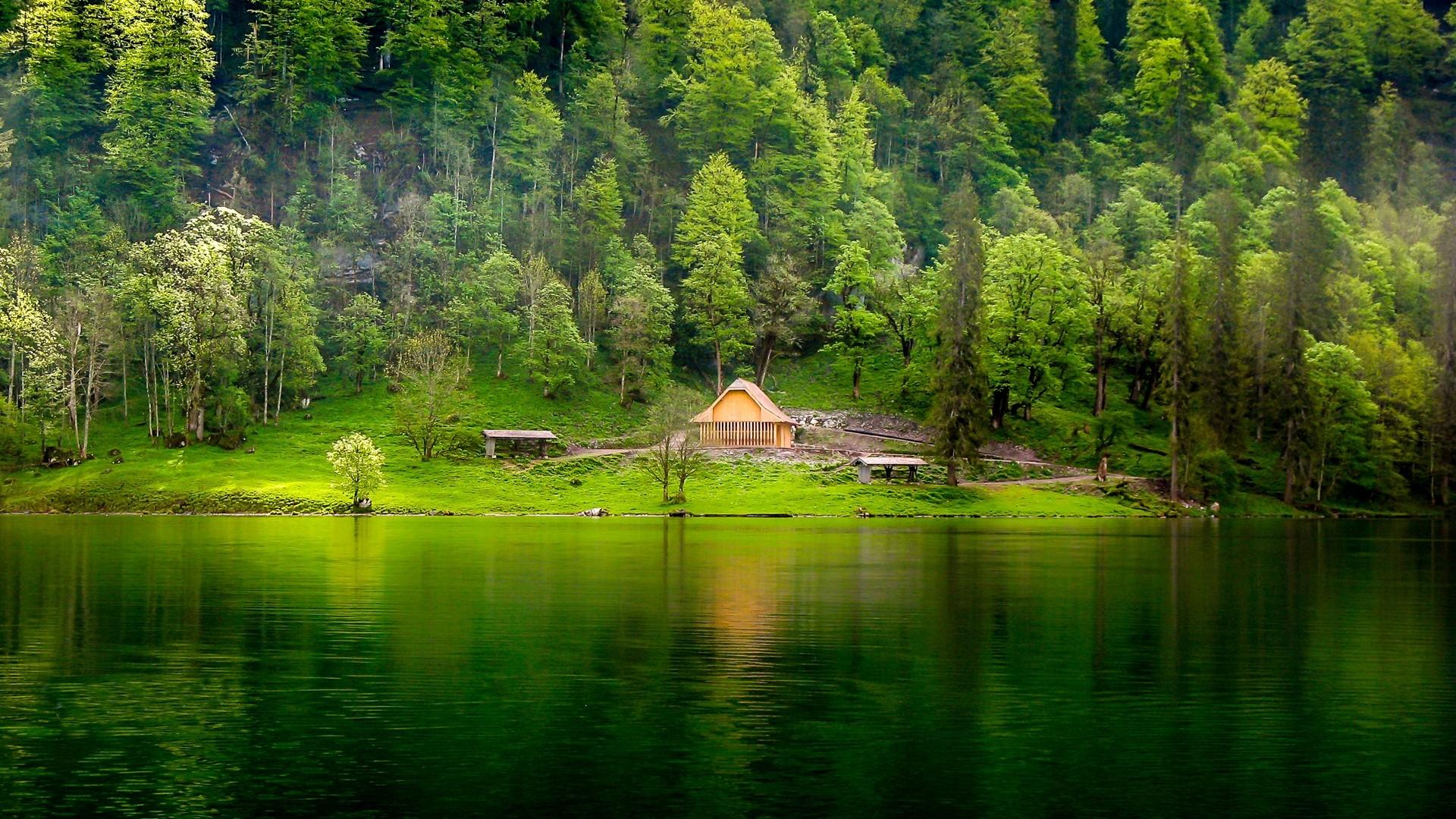 #hills, #forest, #lake, #cabin, #mist, #water, #nature