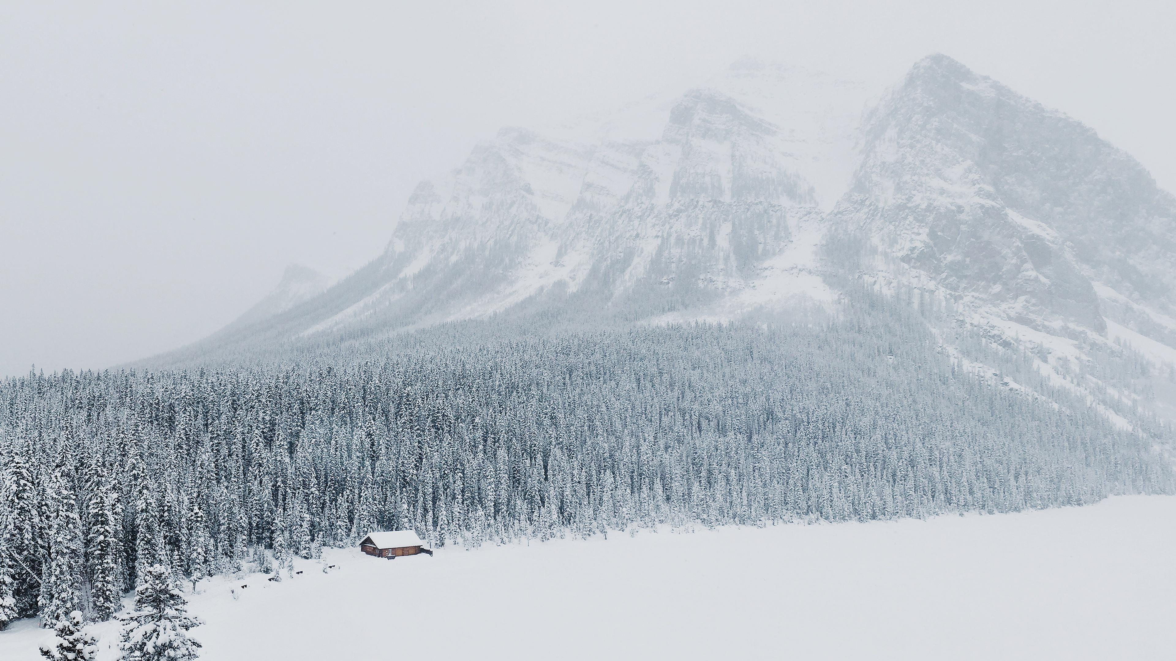 Winter Scene Mountain Base Forest Cabin 4K Ultra HD Desktop.