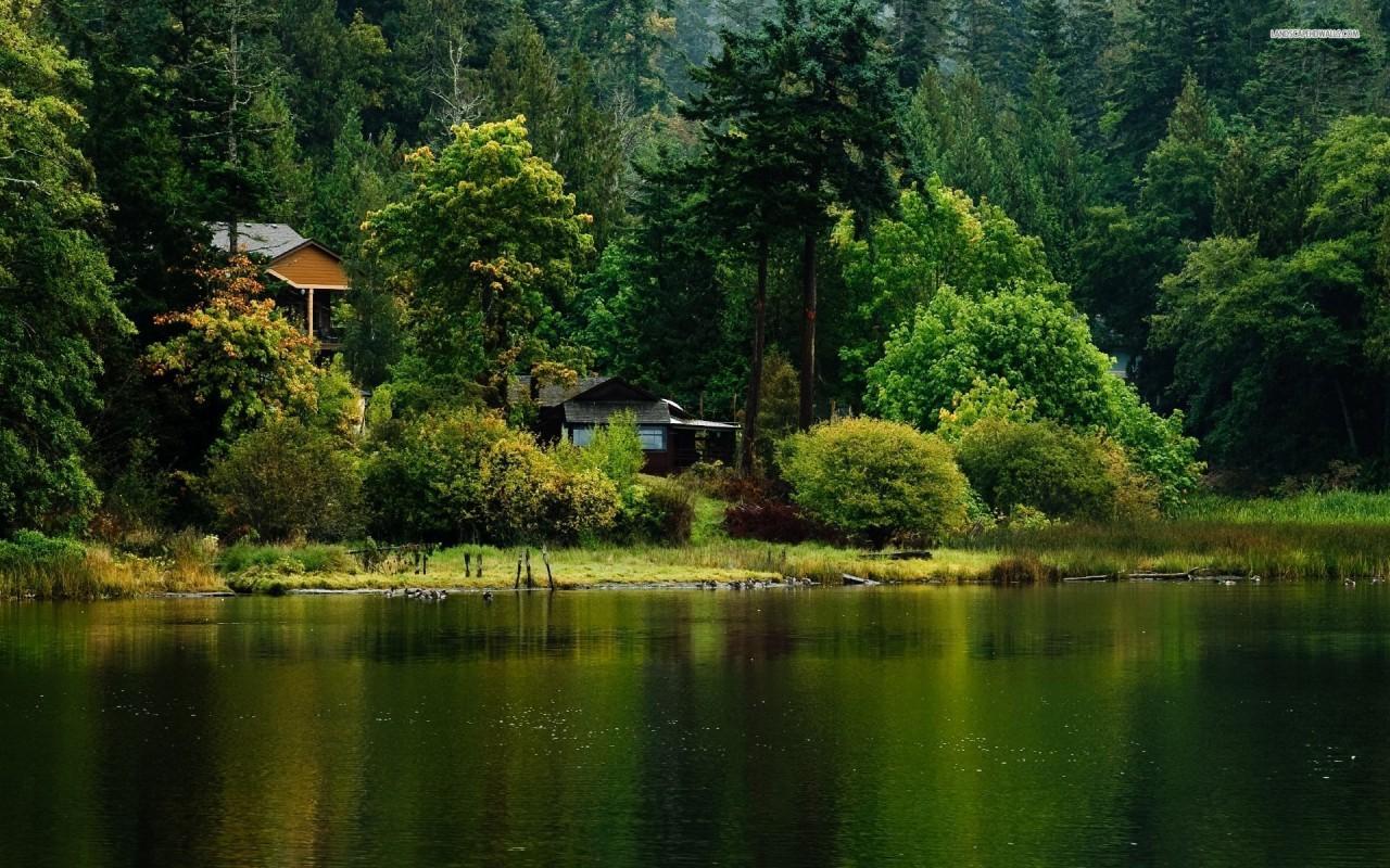 Little cabin at the lake side, forest, tree, nature wallpaper