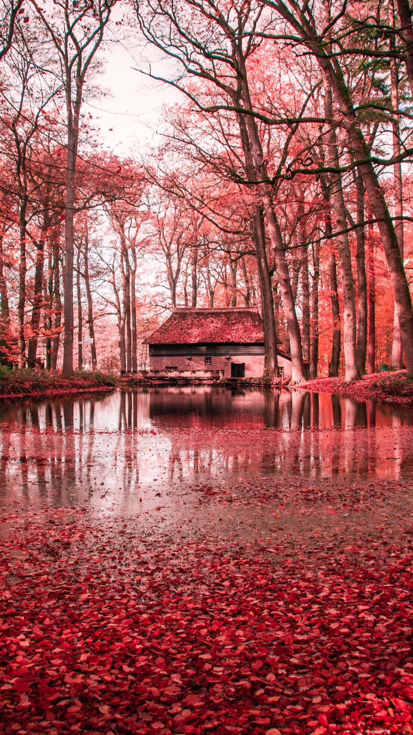 red #autumn #leaves #trees #house #forest #lake #water #nature