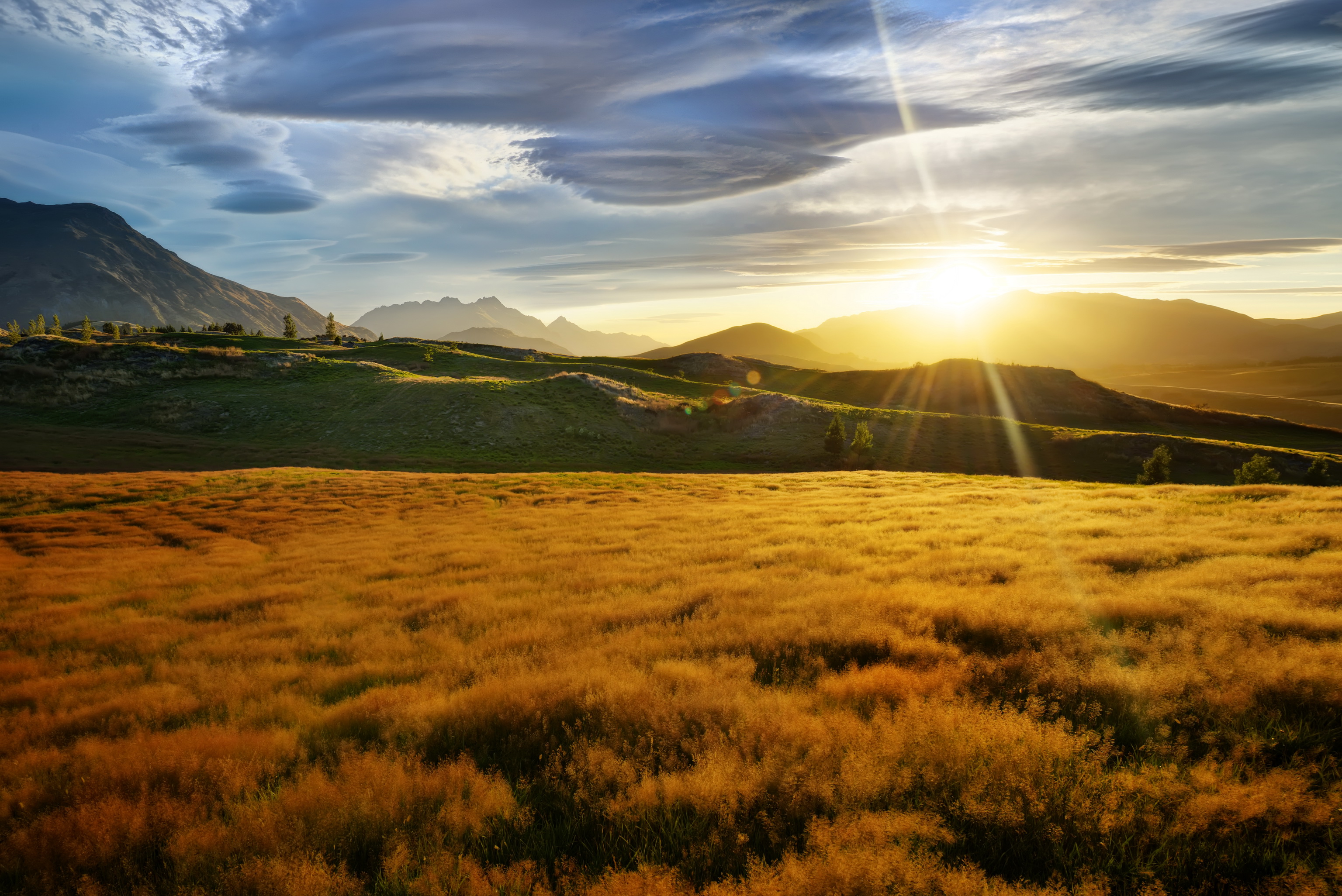 Download New Zealand Sky Rays of light Grass Nature sunrise