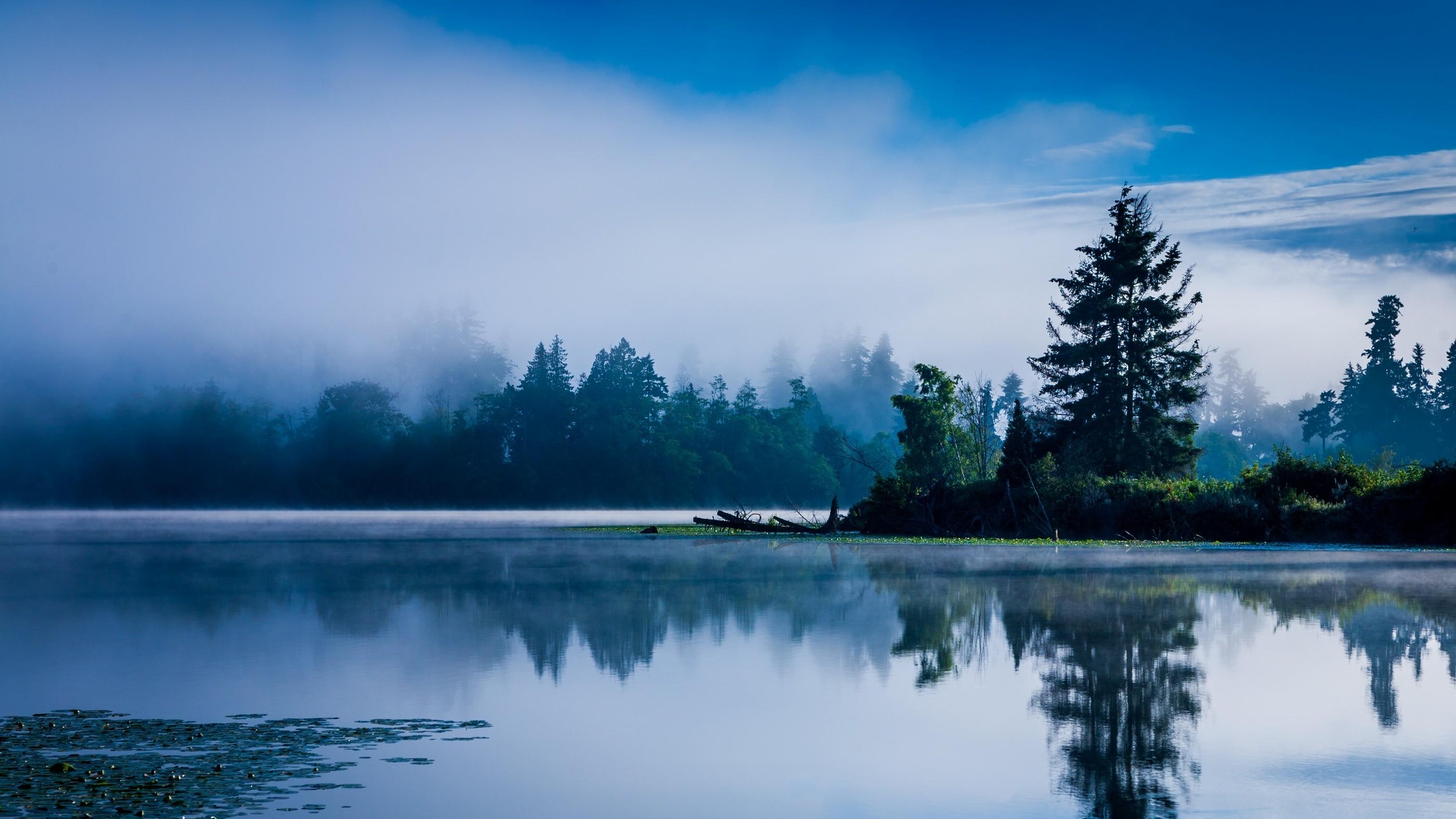 lake, Morning, Mist, Blue, Forest, Water, Reflection, Washington