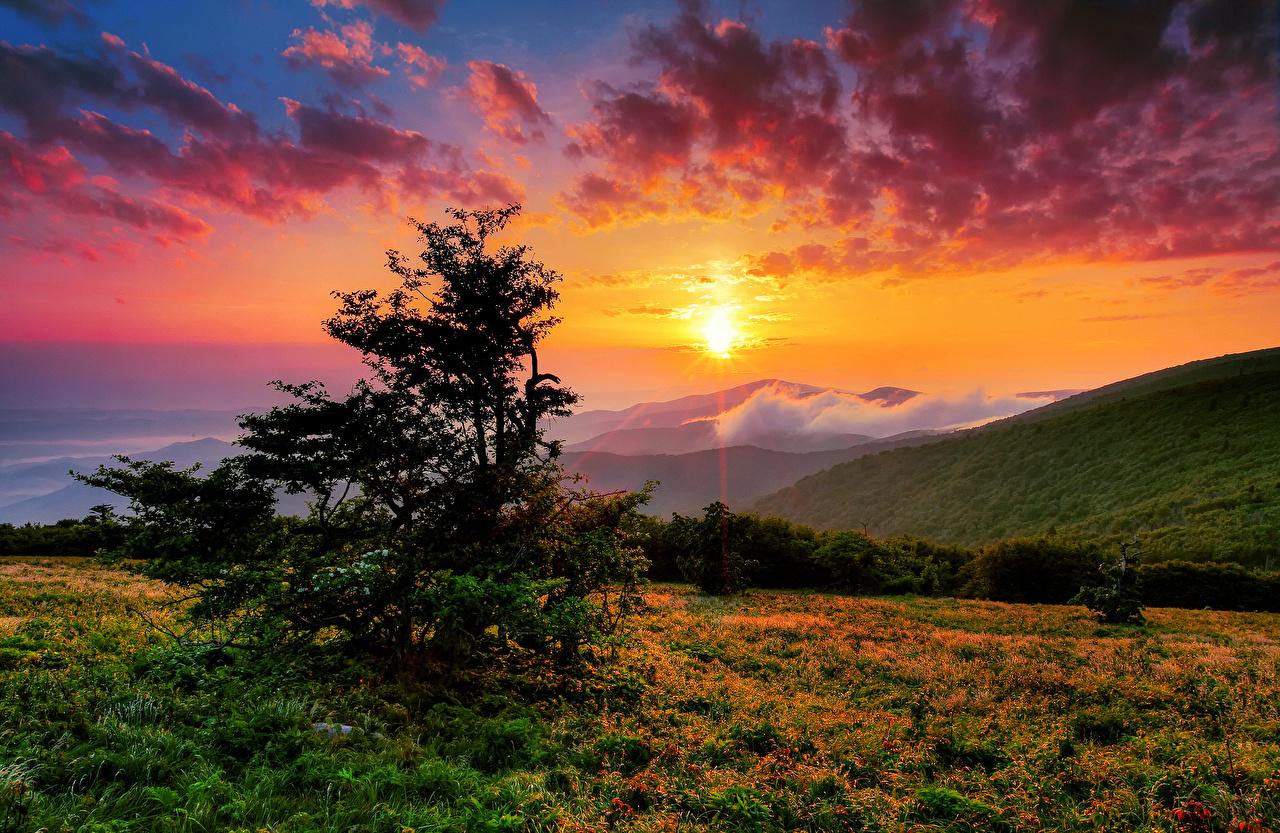 Image USA North Carolina Nature Sky Sunrises and sunsets Landscape