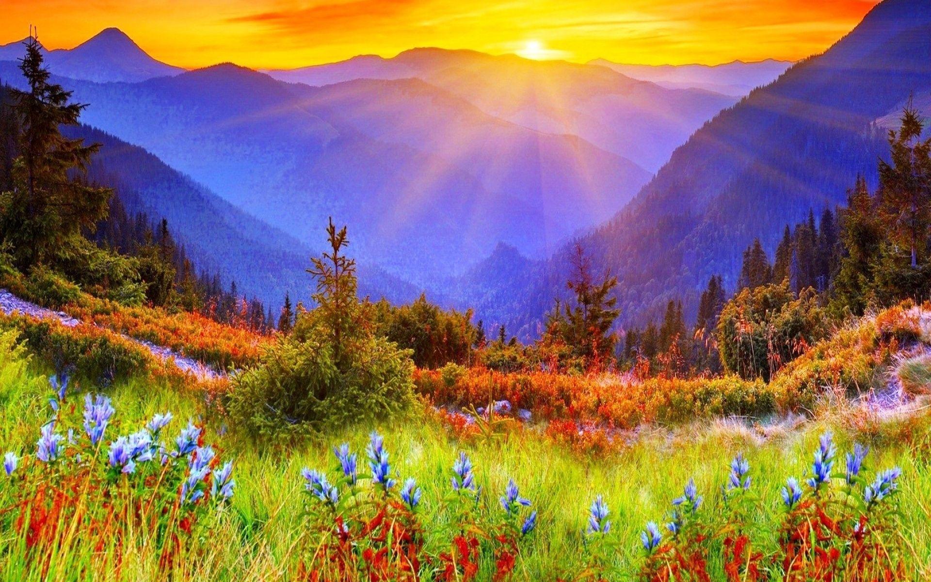 Mountain Sunrise Beautiful Landscape Wallpaper Wallpaper