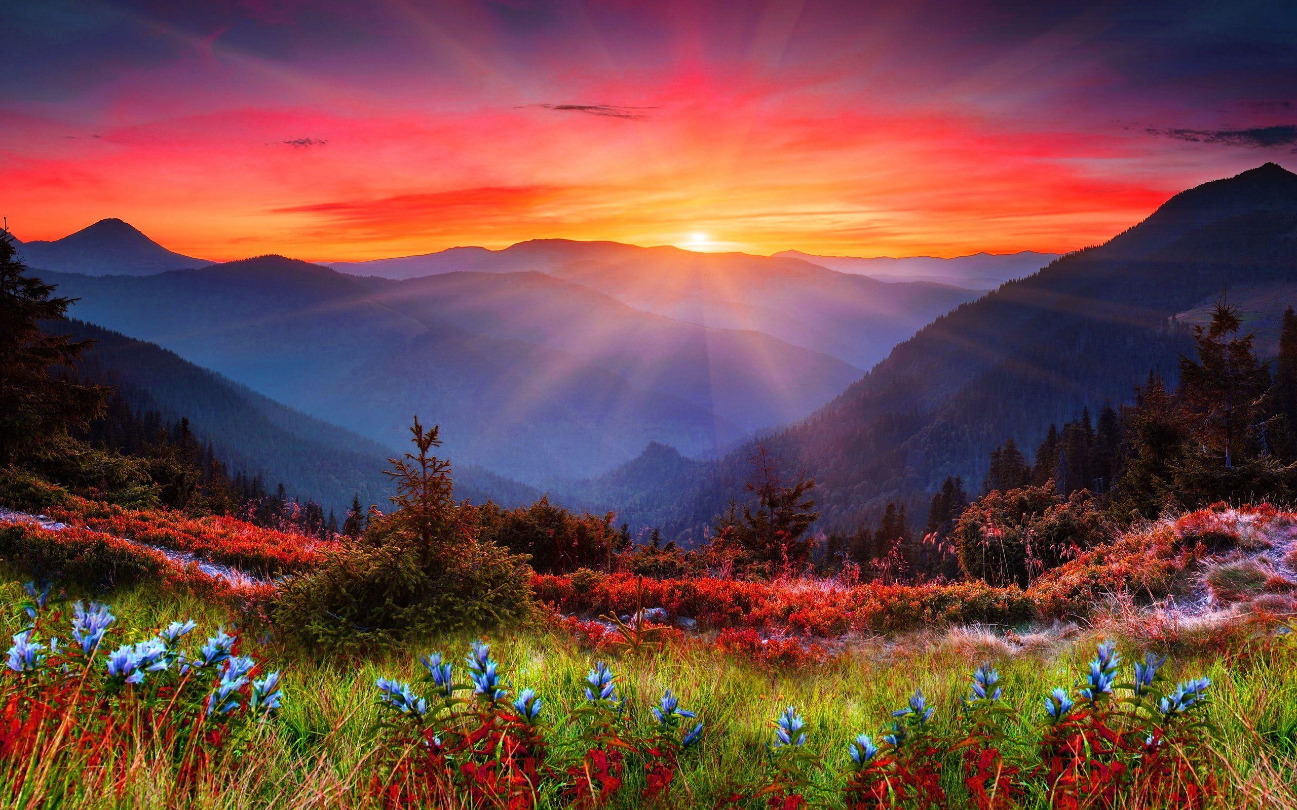 Mountain Sunset Wallpaper