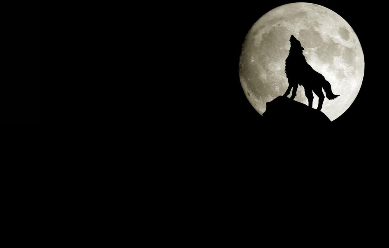 Wallpaper rock, the moon, wolf, silhouette, howling image