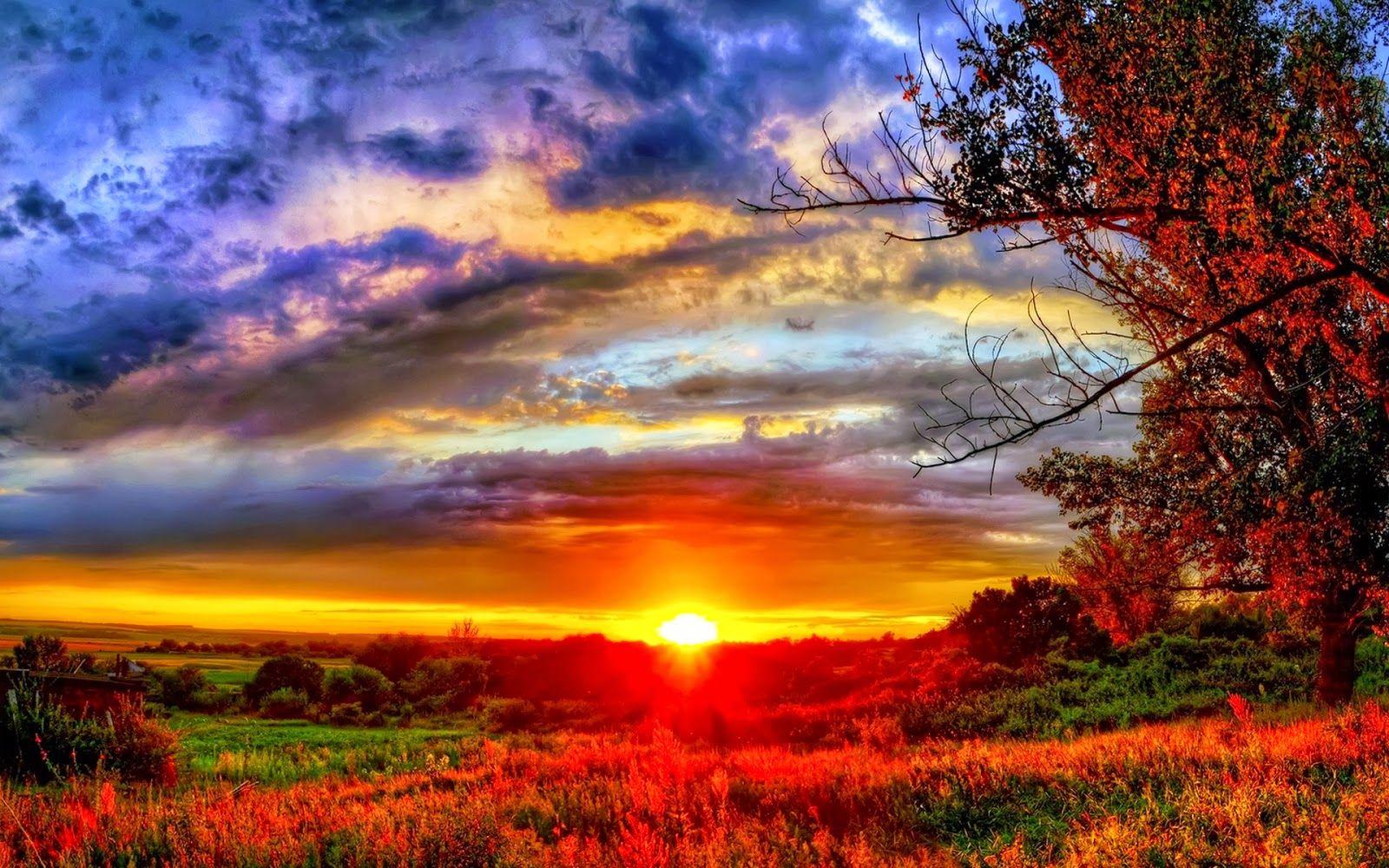 beautiful scenery sunrise