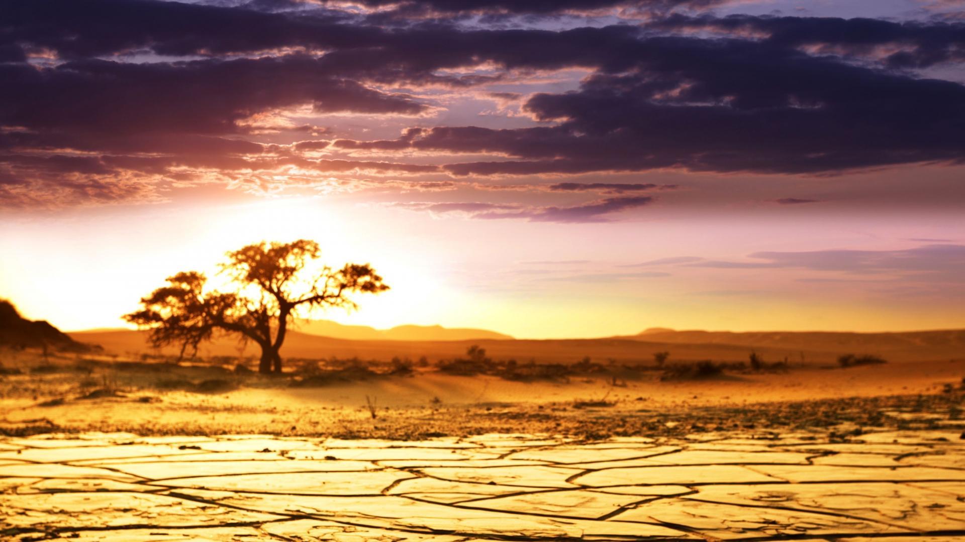 African deserts landscapes nature sunrise Wallpaper