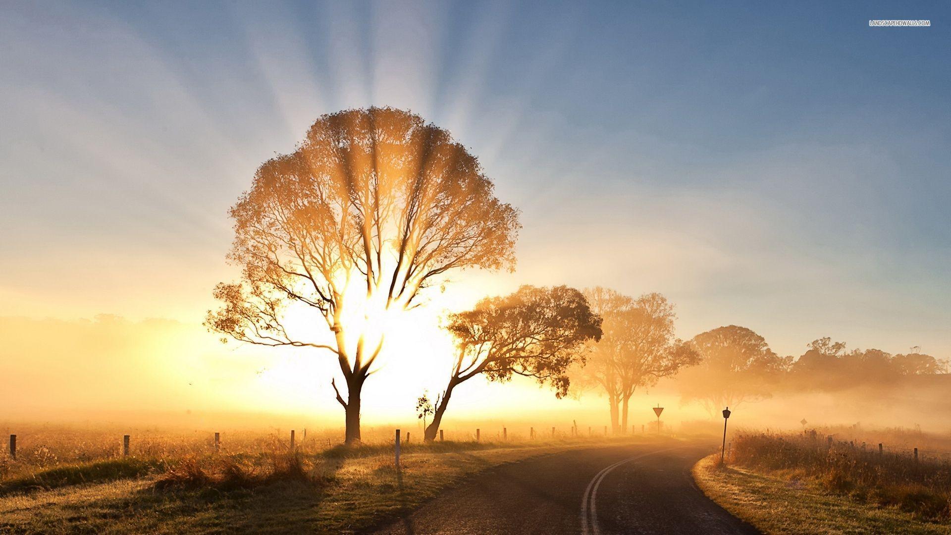 Sunrise Wallpaper for Desktop