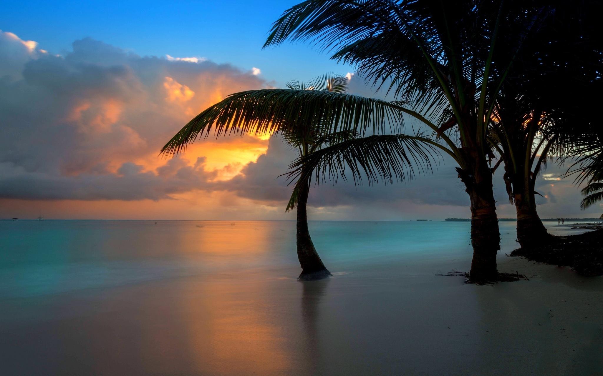 Wallpaper Download Beach Sea Ocean Dawn Clouds Palms