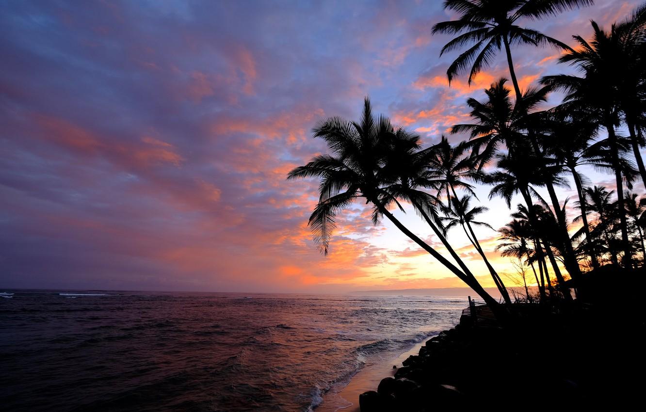Wallpaper the sky, palm trees, the ocean, dawn, morning, Hawaii