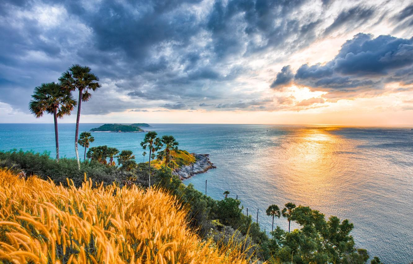 Wallpaper sunrise, palm trees, the ocean, dawn, coast, Thailand