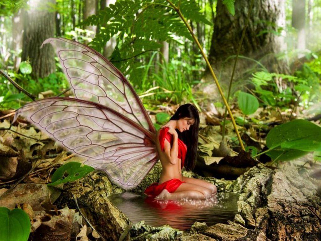 Article. Fantasy ♥. Fairy wallpaper, Cute fairy, Beautiful fairies