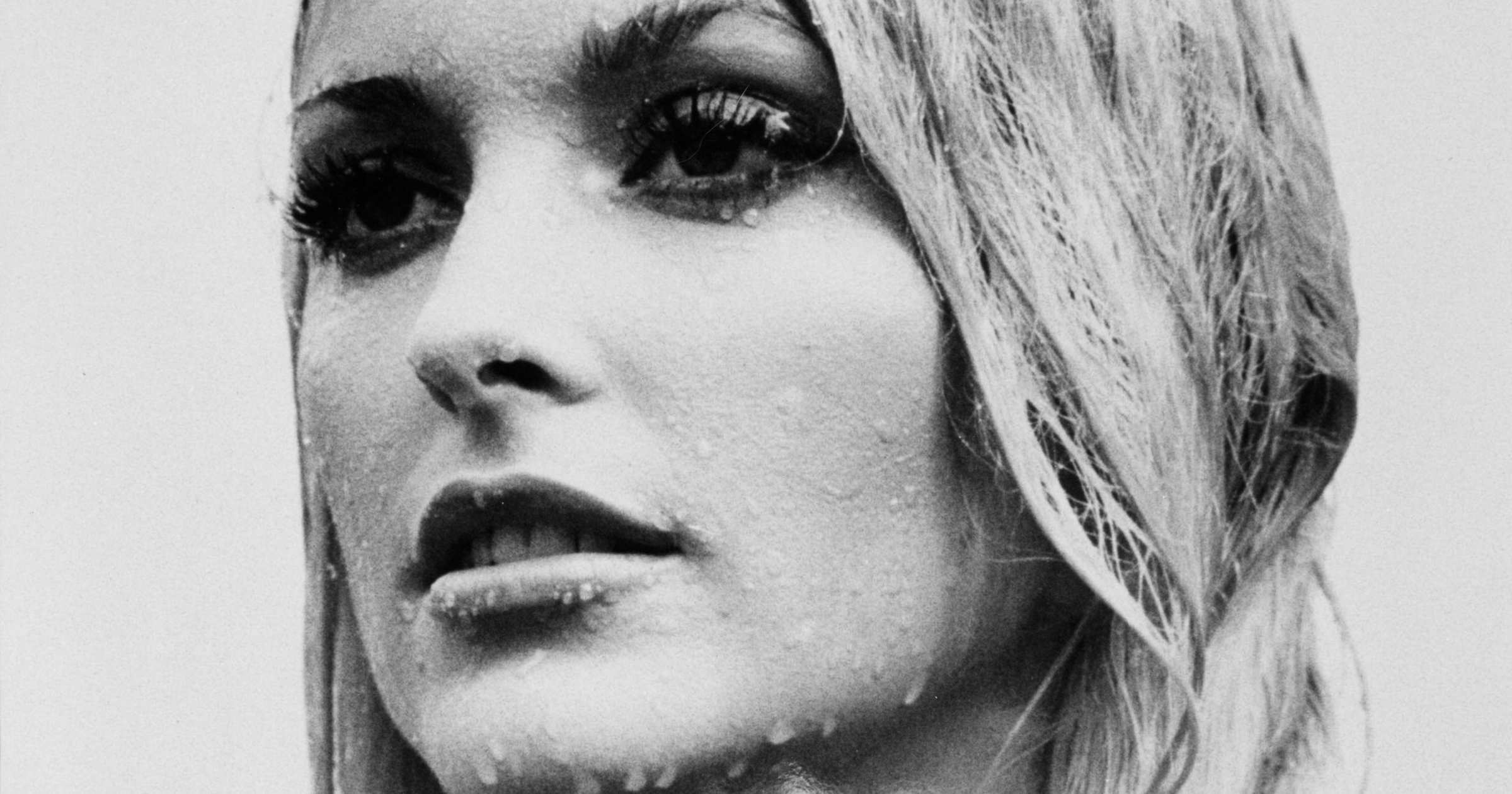 Sharon Tate Wallpaper Image Photo Picture Background