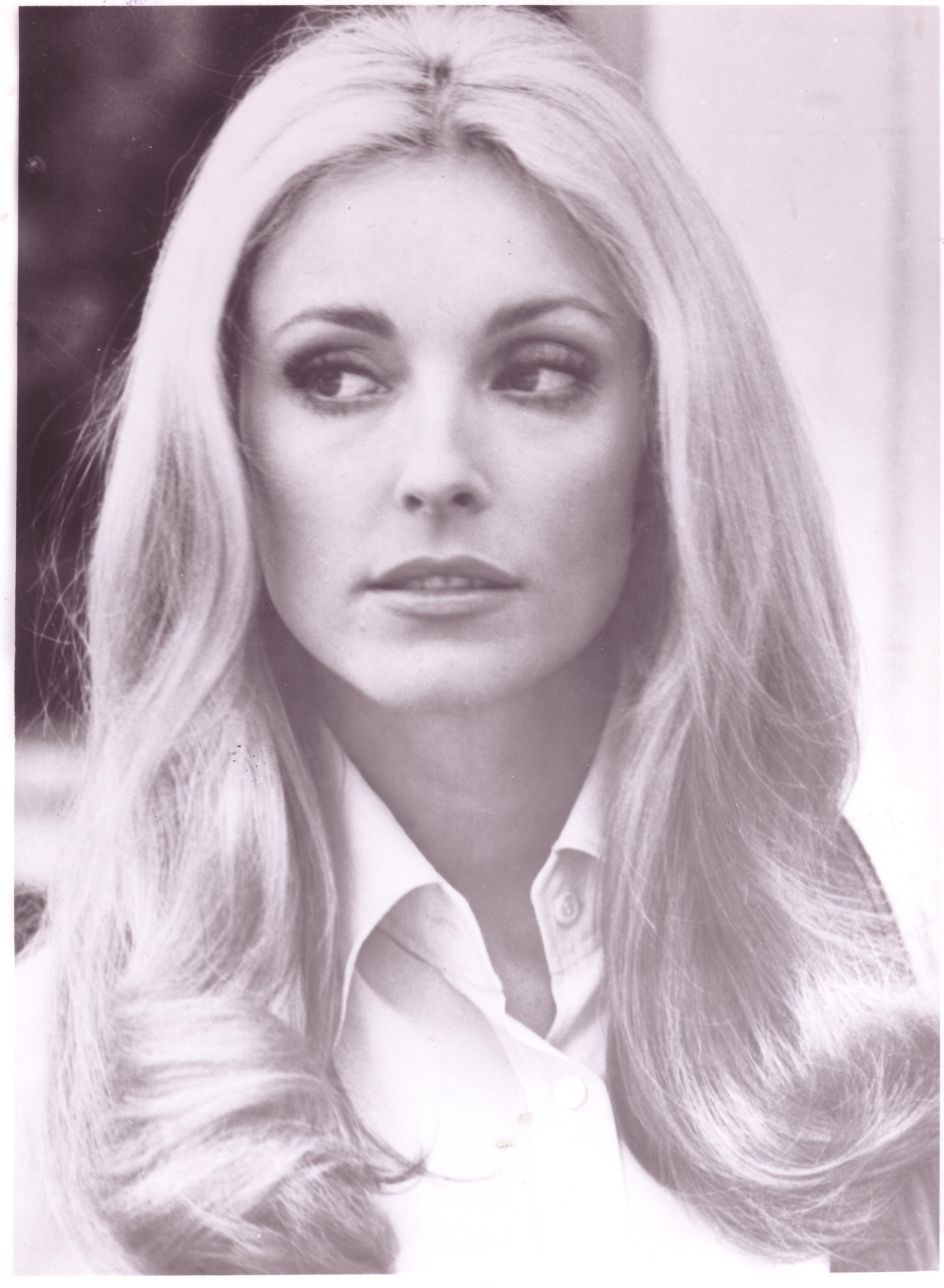 Picture of Sharon Tate Of Celebrities