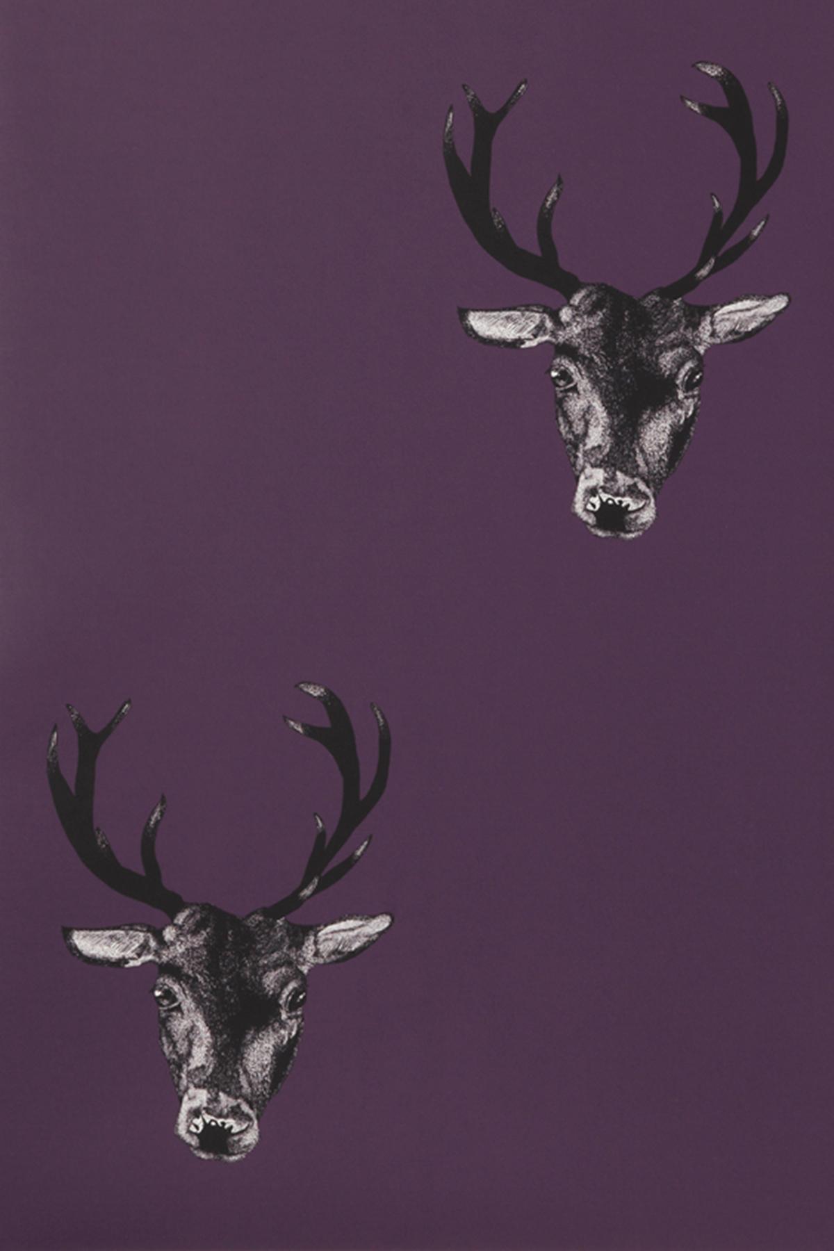 Stag Wallpaper