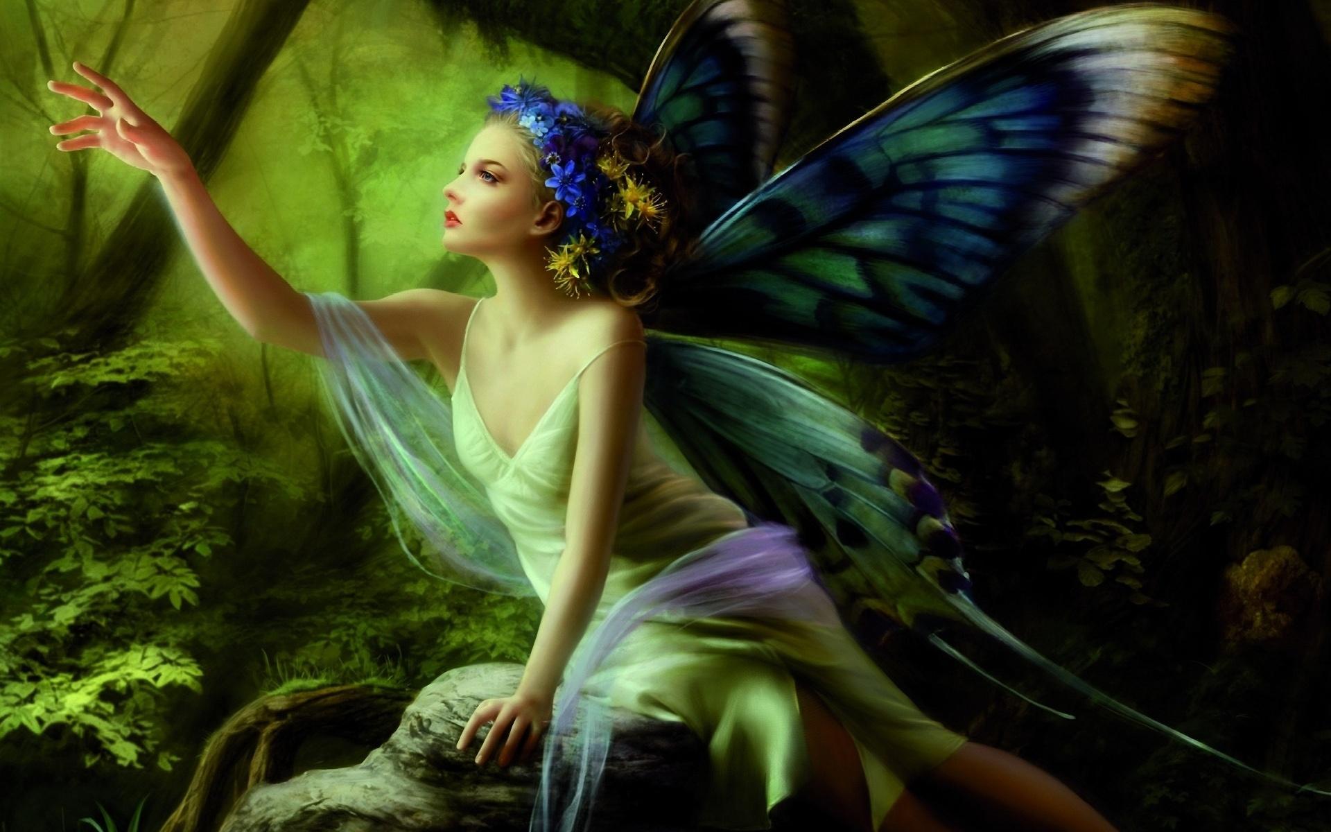 Wallpaper Butterfly Elf girl in the woods 1920x1200 HD Picture, Image