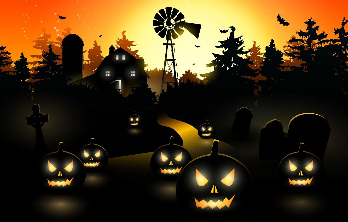 Wallpaper trees, vector, vector, pumpkin, bat, horror, horror, trees