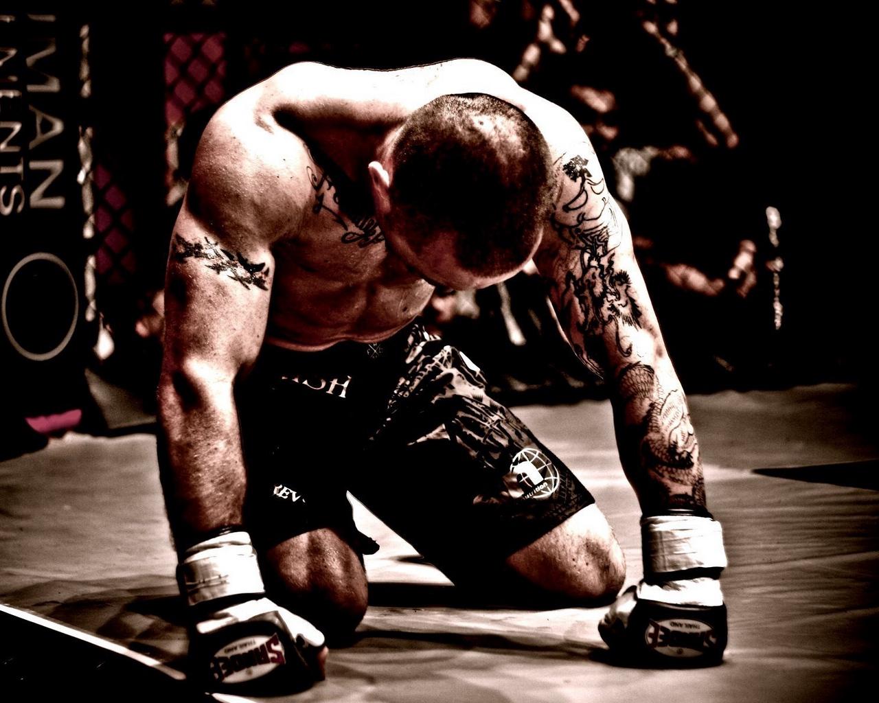Download wallpaper 1280x1024 mma, mixed martial arts, fighter