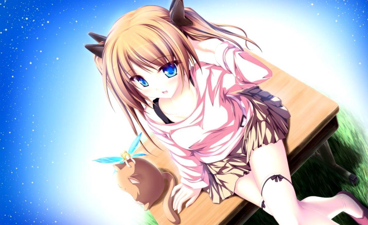 Anime Girl With Cat And Fairy HD Wallpaper
