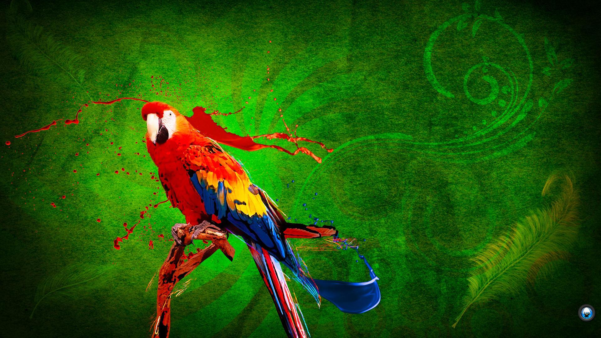 Parrot Wallpaper Free Download Colorful Birds HD Desktop Image