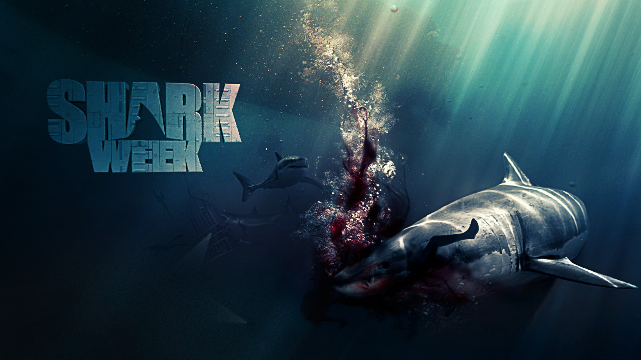 Free download SharkWeek [2048x1152] for your Desktop, Mobile