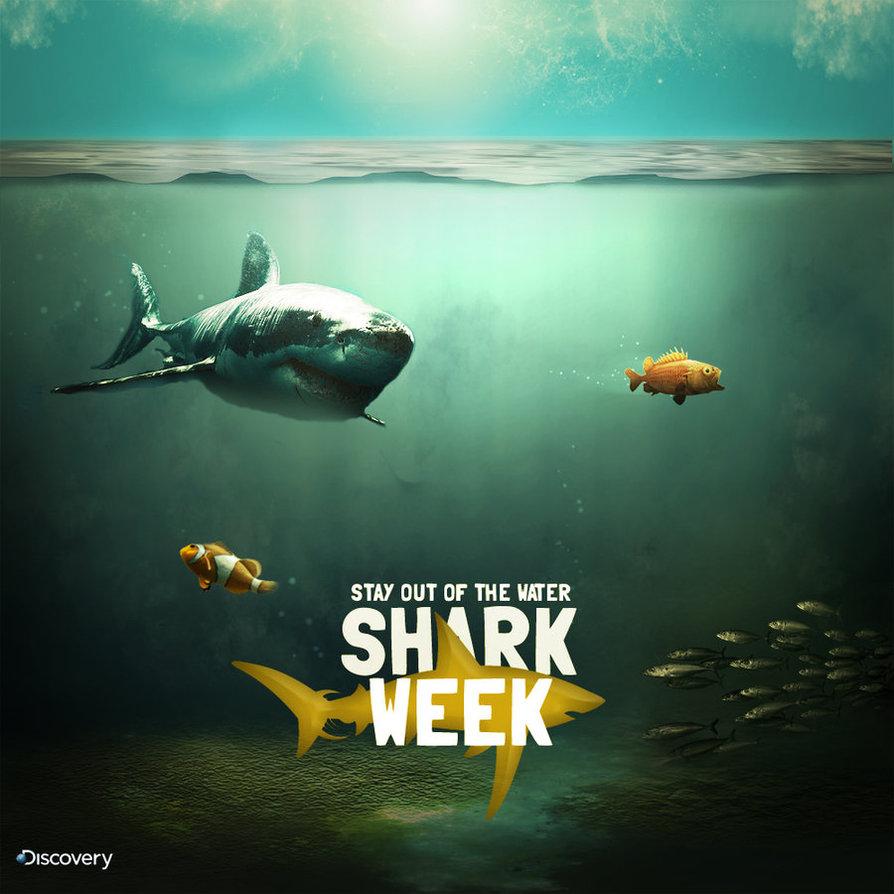 Free download Shark Week Wallpaper Shark week