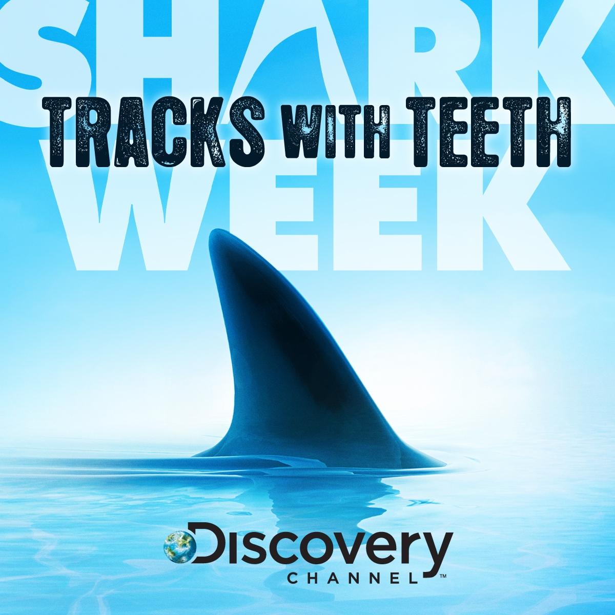 Shark Week 2014: \'Megaladon\' another fake documentary?. Christian