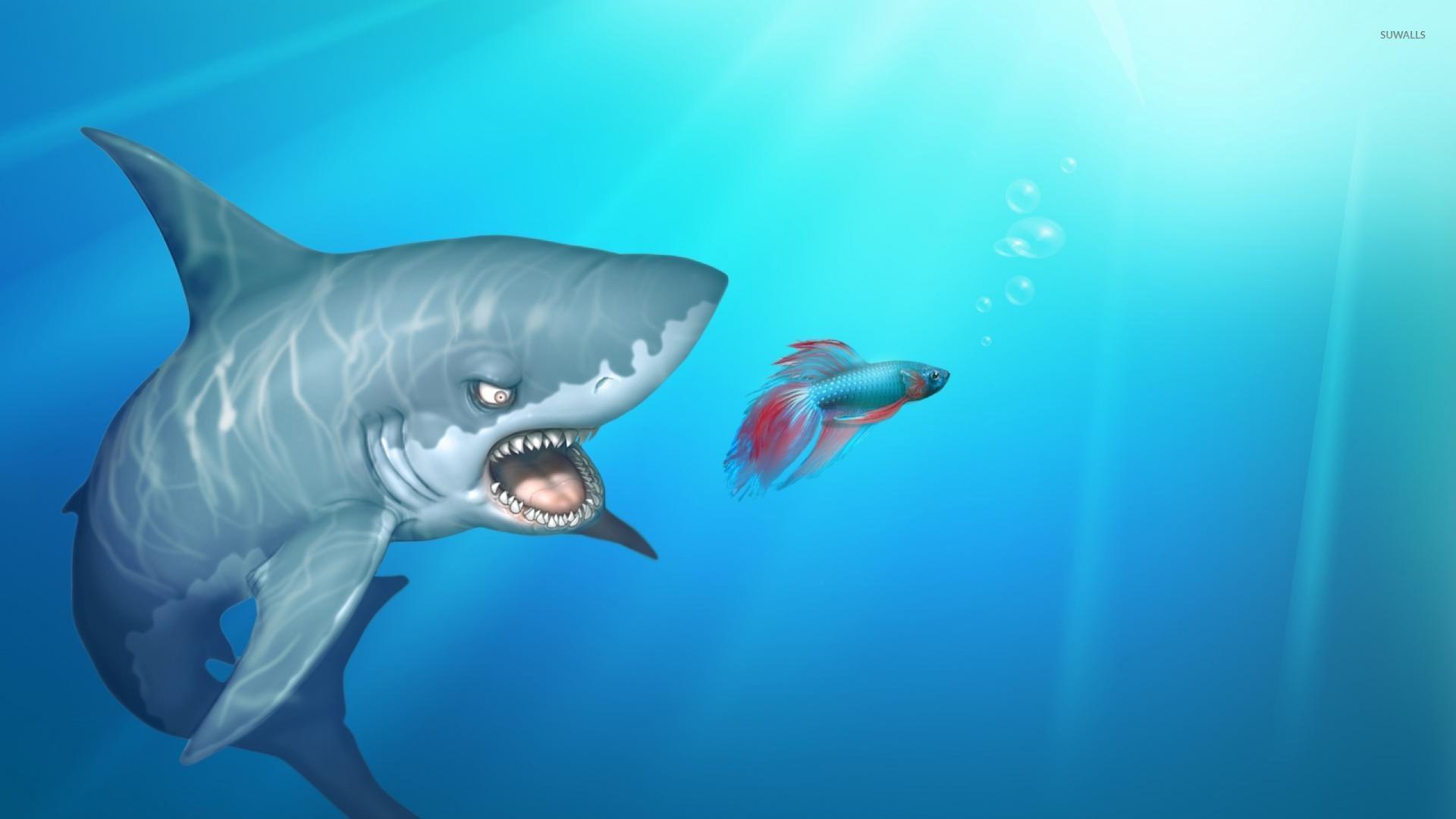 Shark after the fish wallpaper Art wallpaper