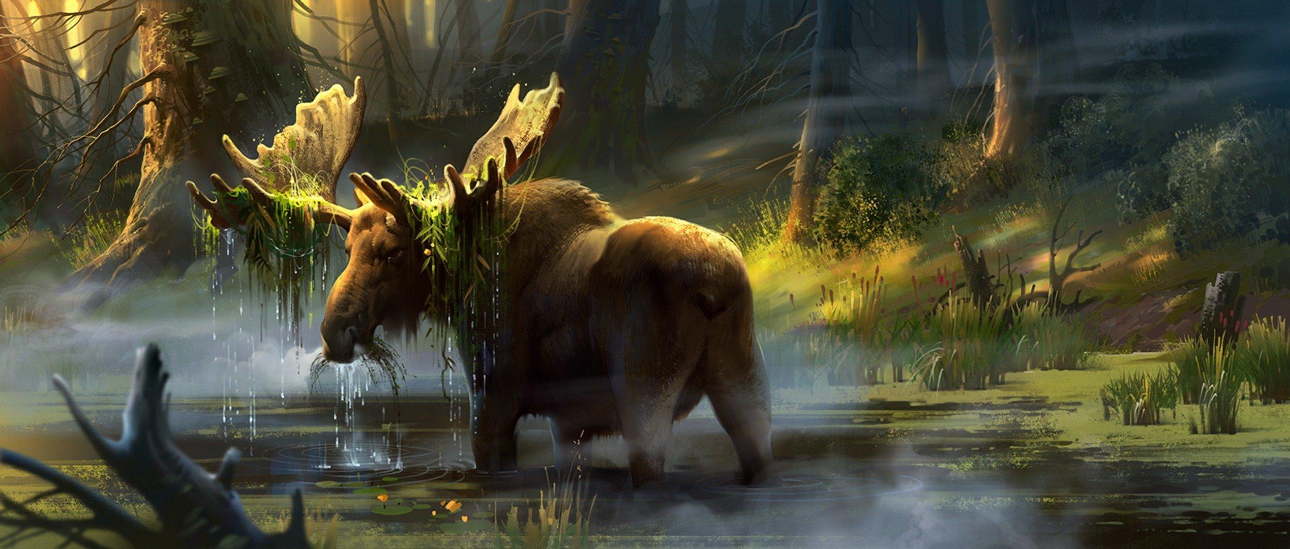 Moose Wallpaper Widescreen S2L96