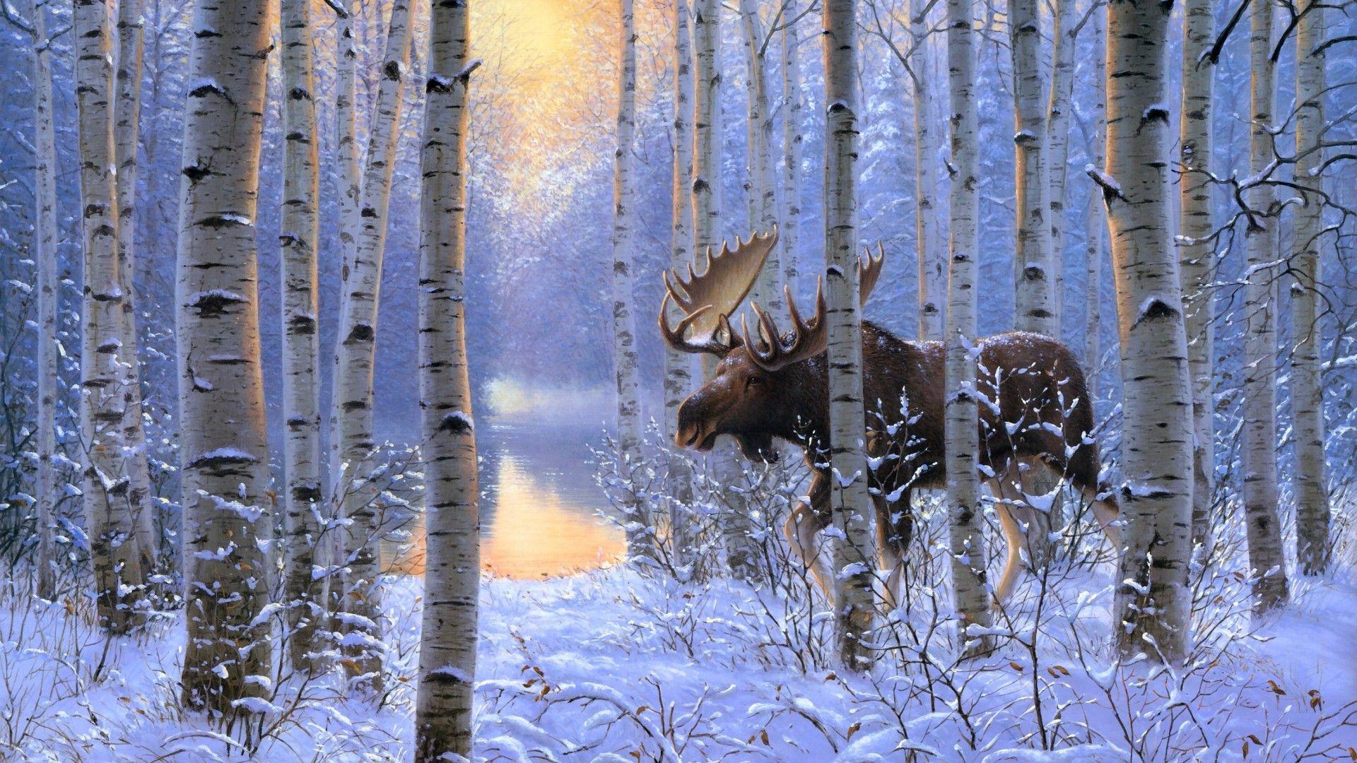 HD Moose Wallpaper, art, moose, wallpaper, animal, other, 3D