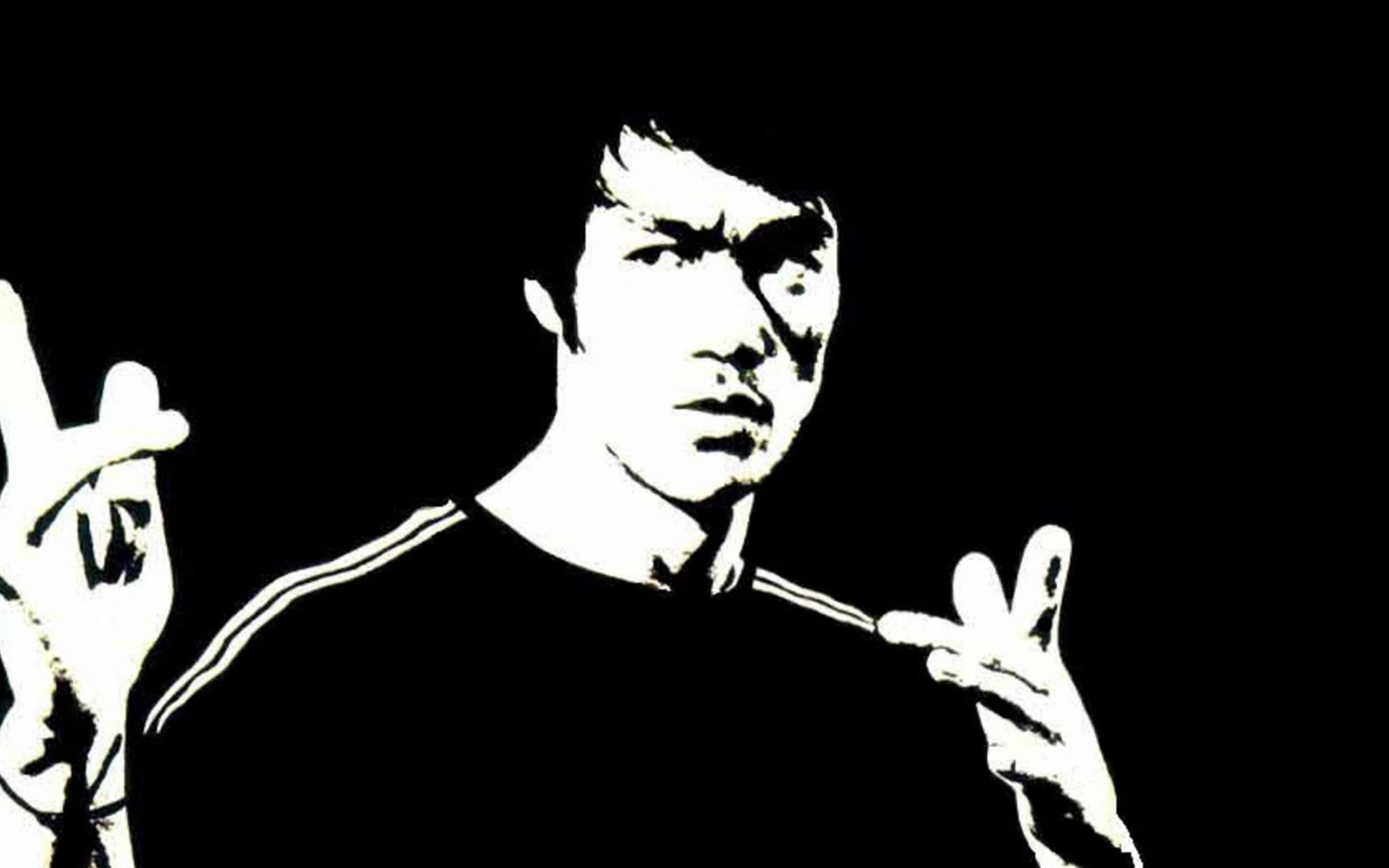 Bruce Lee Dark Bw Hero