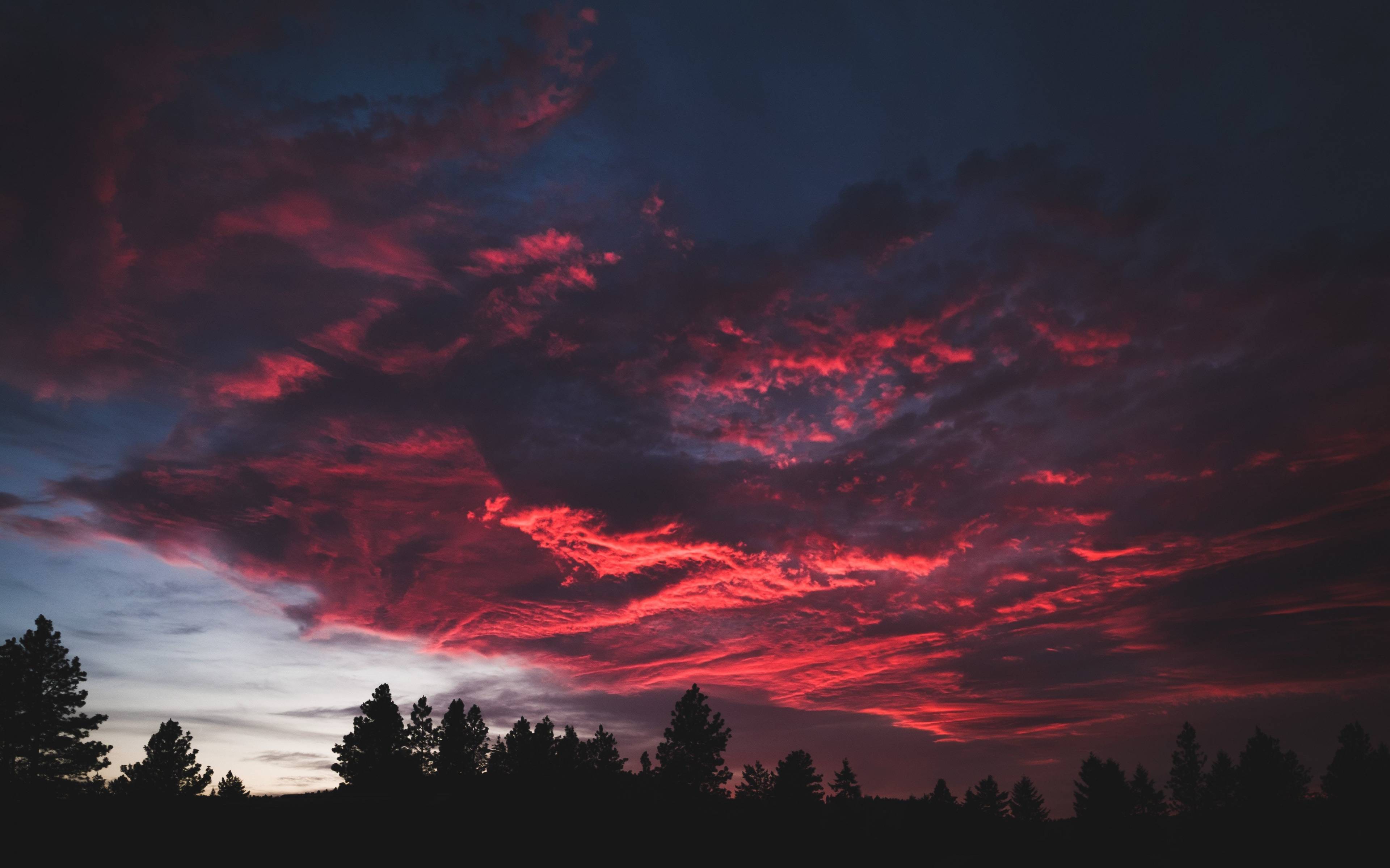 Download 3840x2400 wallpaper colorful, clouds, sunset, dark, tree