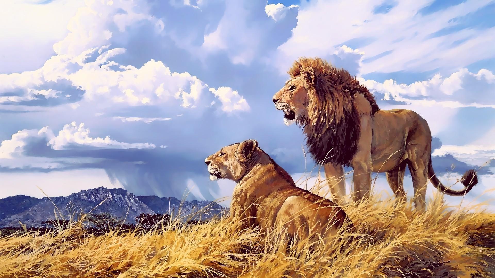 Download 1920x1080 Lions, Digital Art, Field, Landscape, Clouds